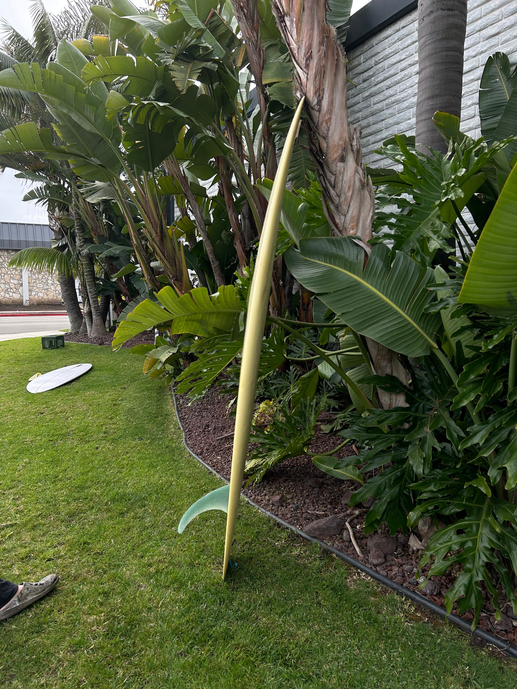 7'4" Tanner Hull (Used)