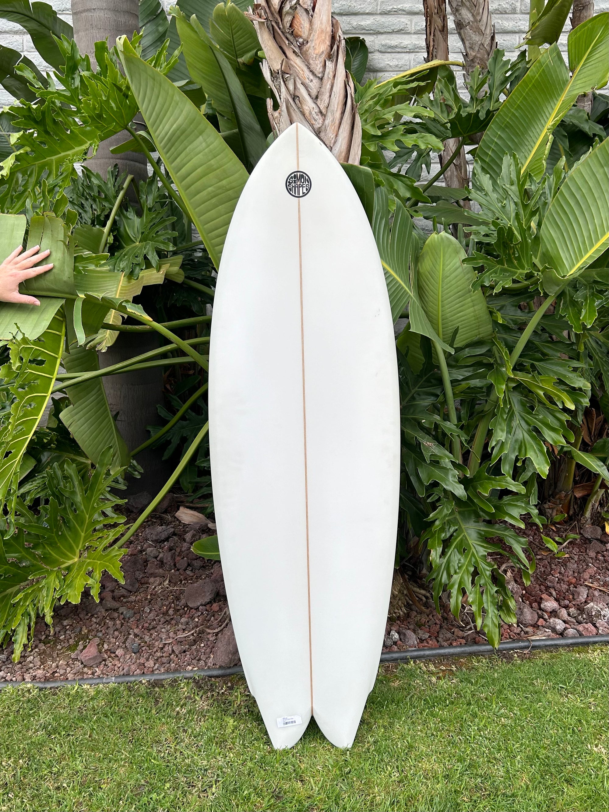 5'7" Simon Shapes Quad
