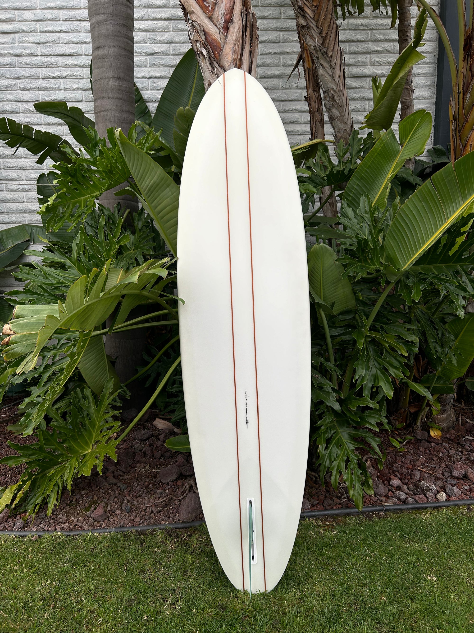 7’0” Nettleton Euphoric