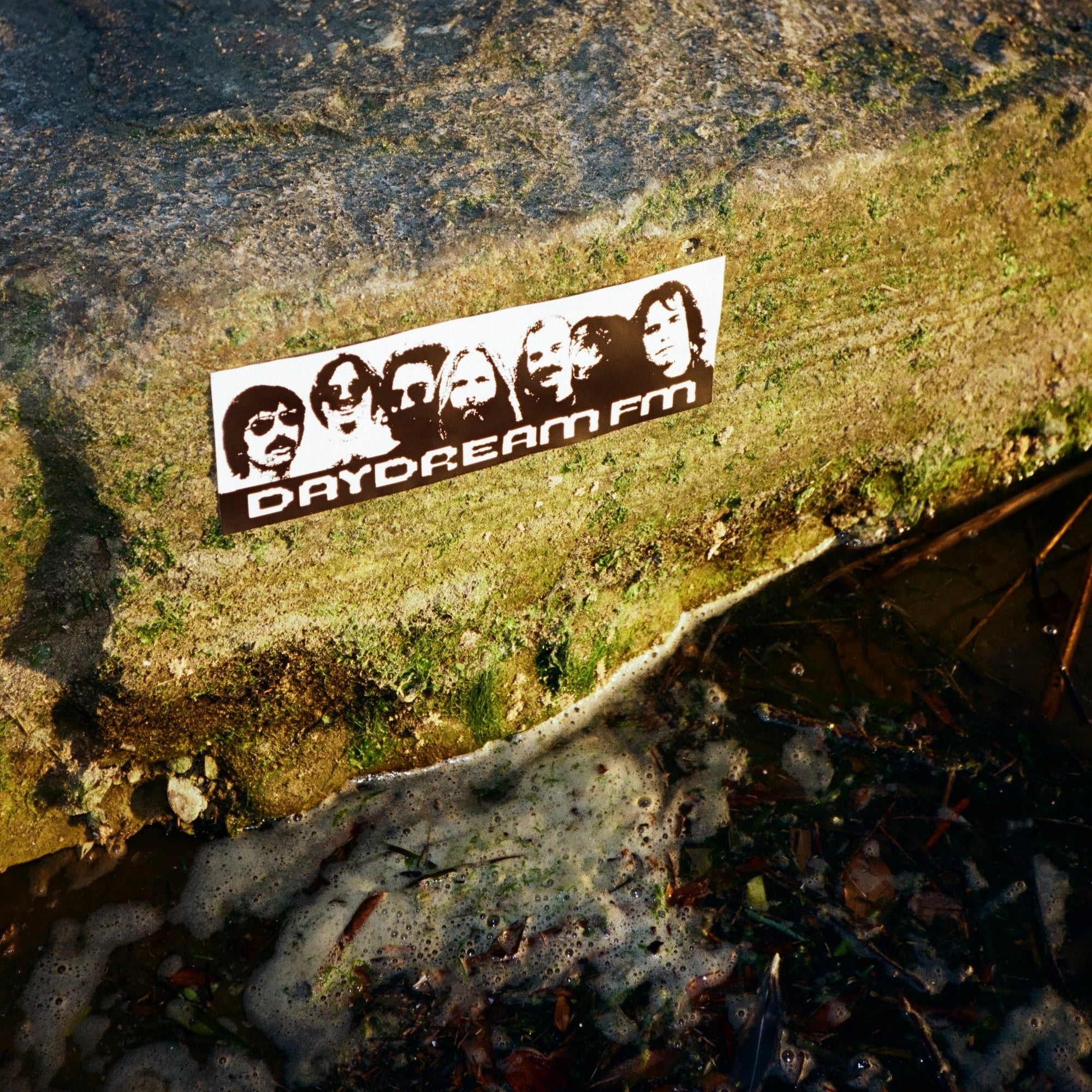 Daydream FM Bumper Sticker - &quot;DEAD&quot;