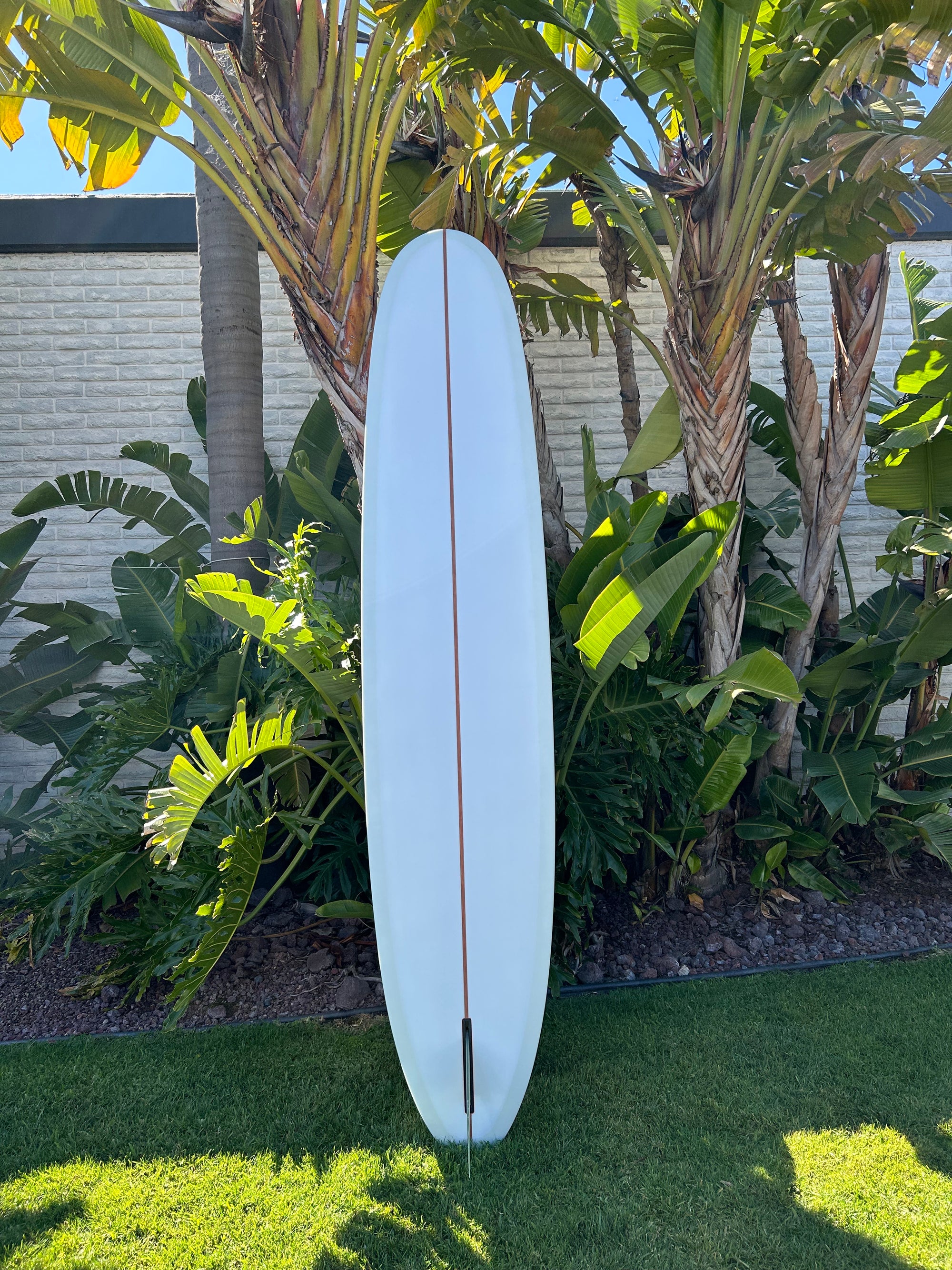 9'5" Elmore Sam's Club