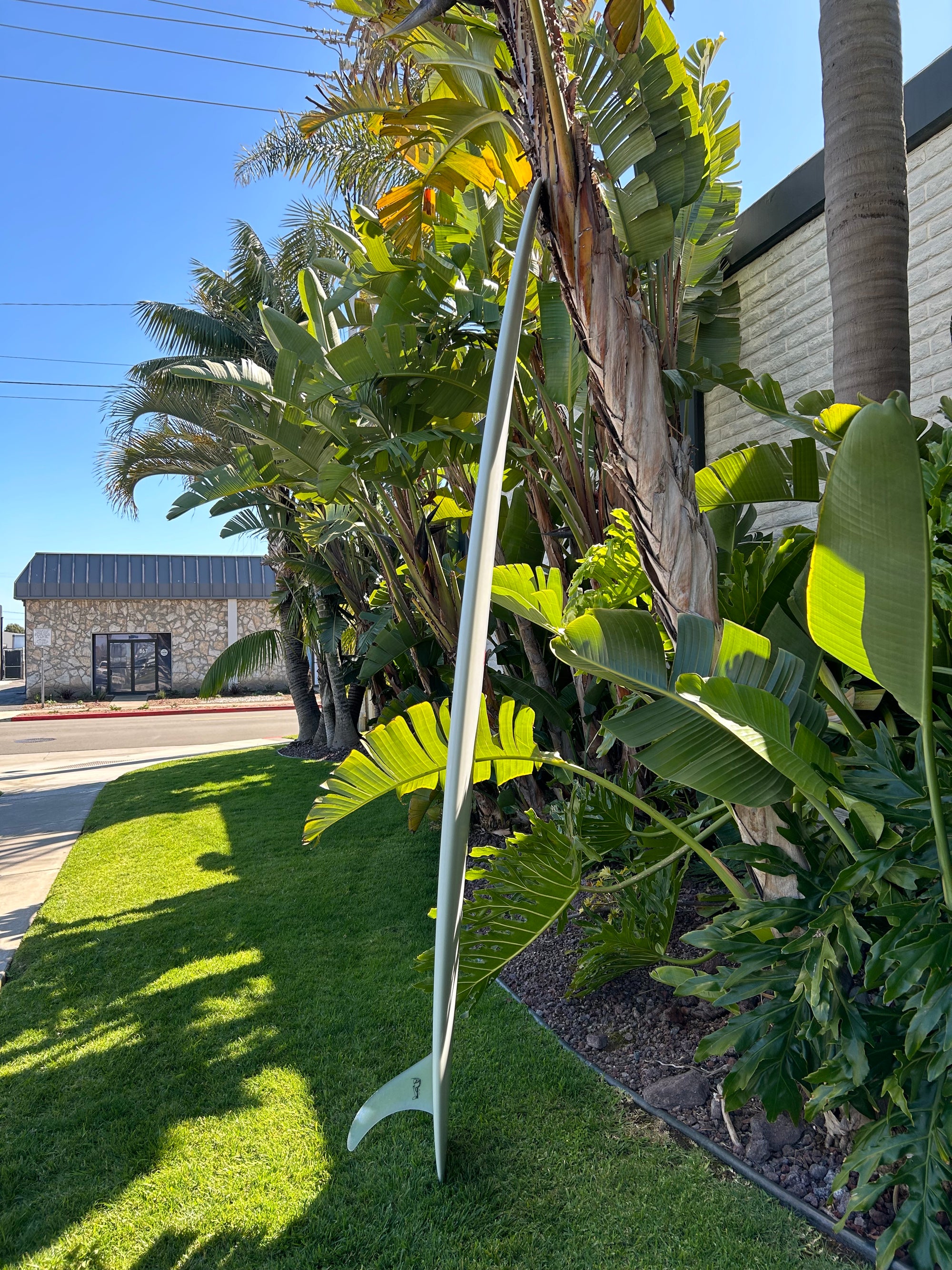 9'5" Elmore Sam's Club