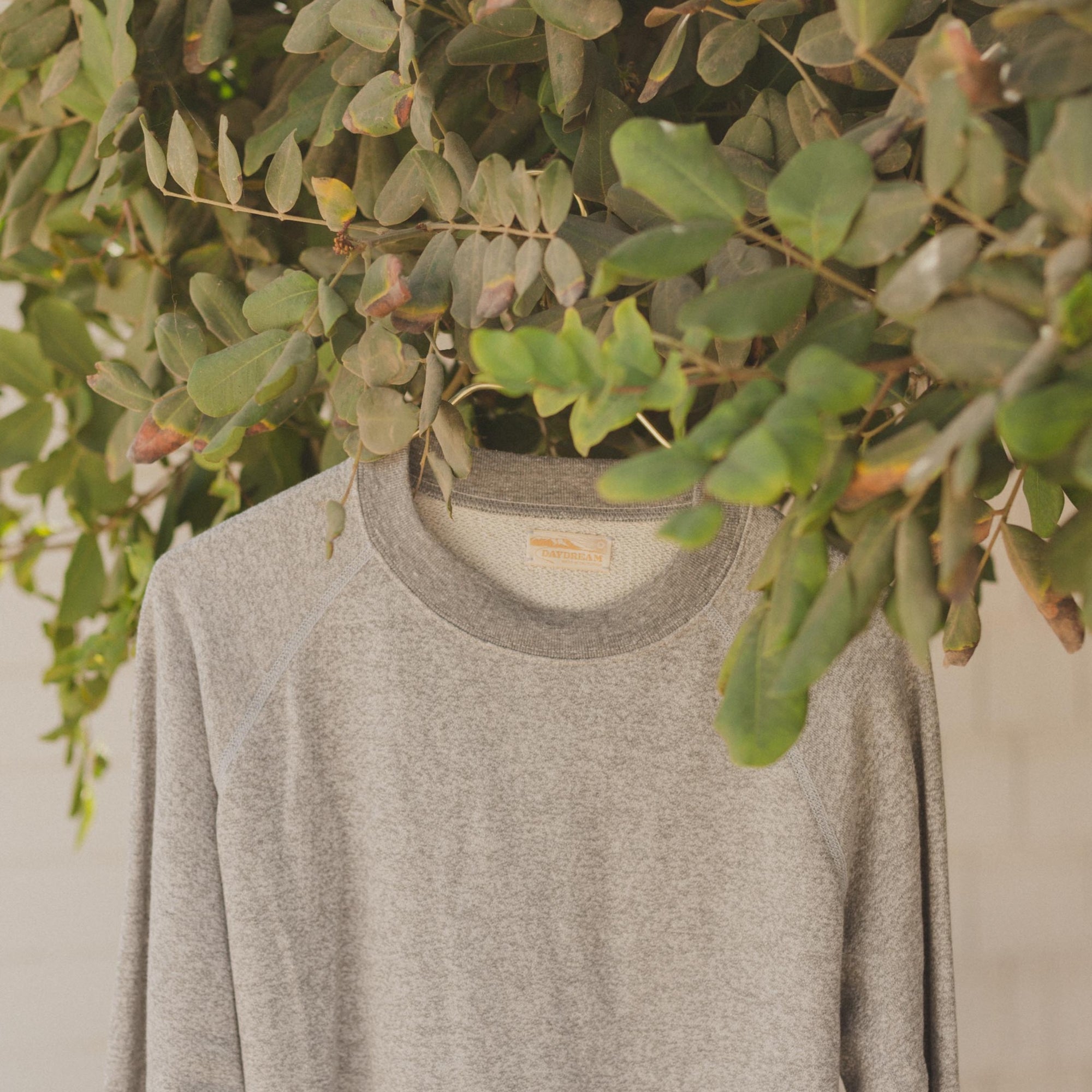 Collar of Mens Raglan Crewneck in Gray