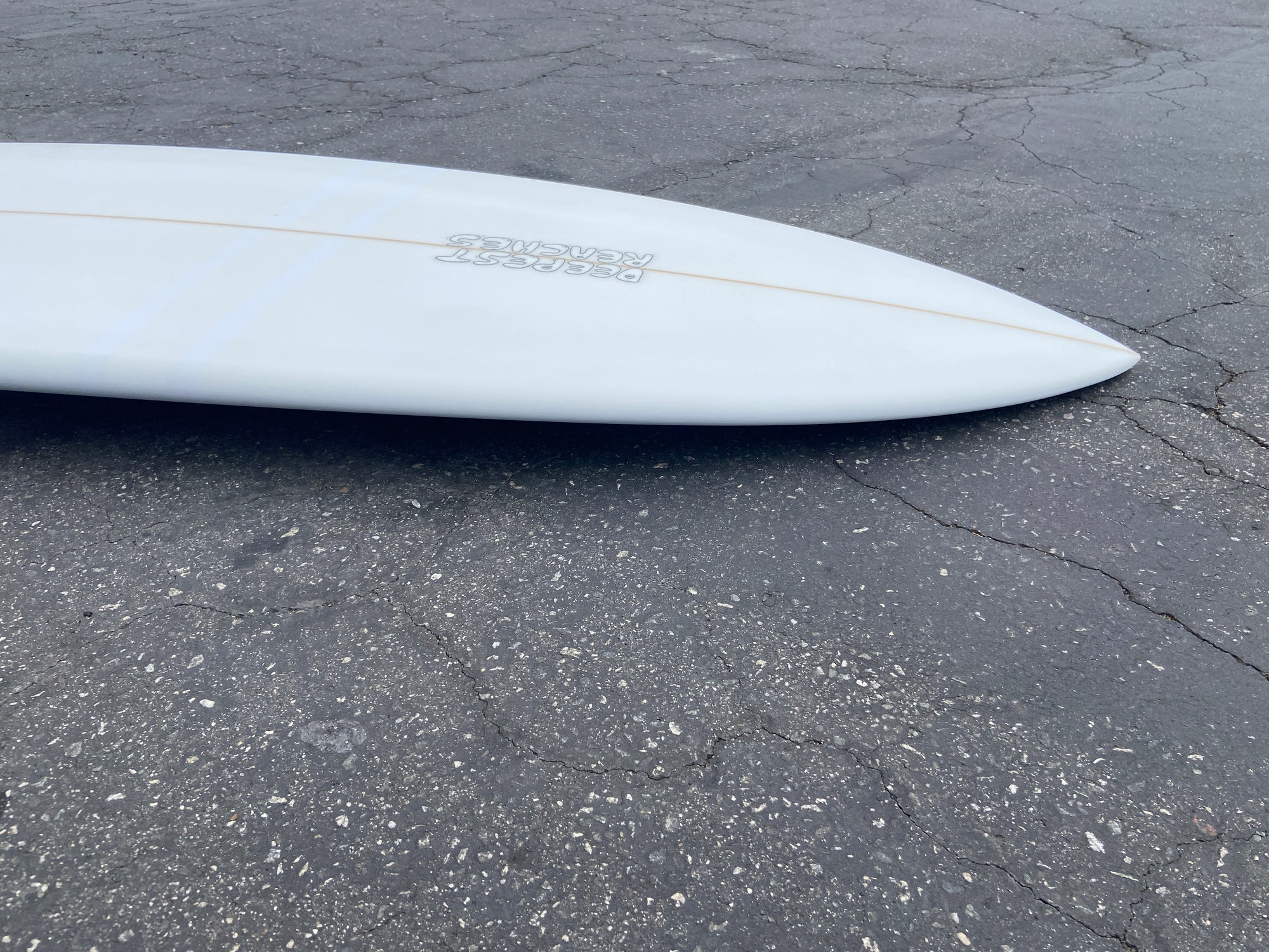 8'6" Deepest Reaches Mega Fish