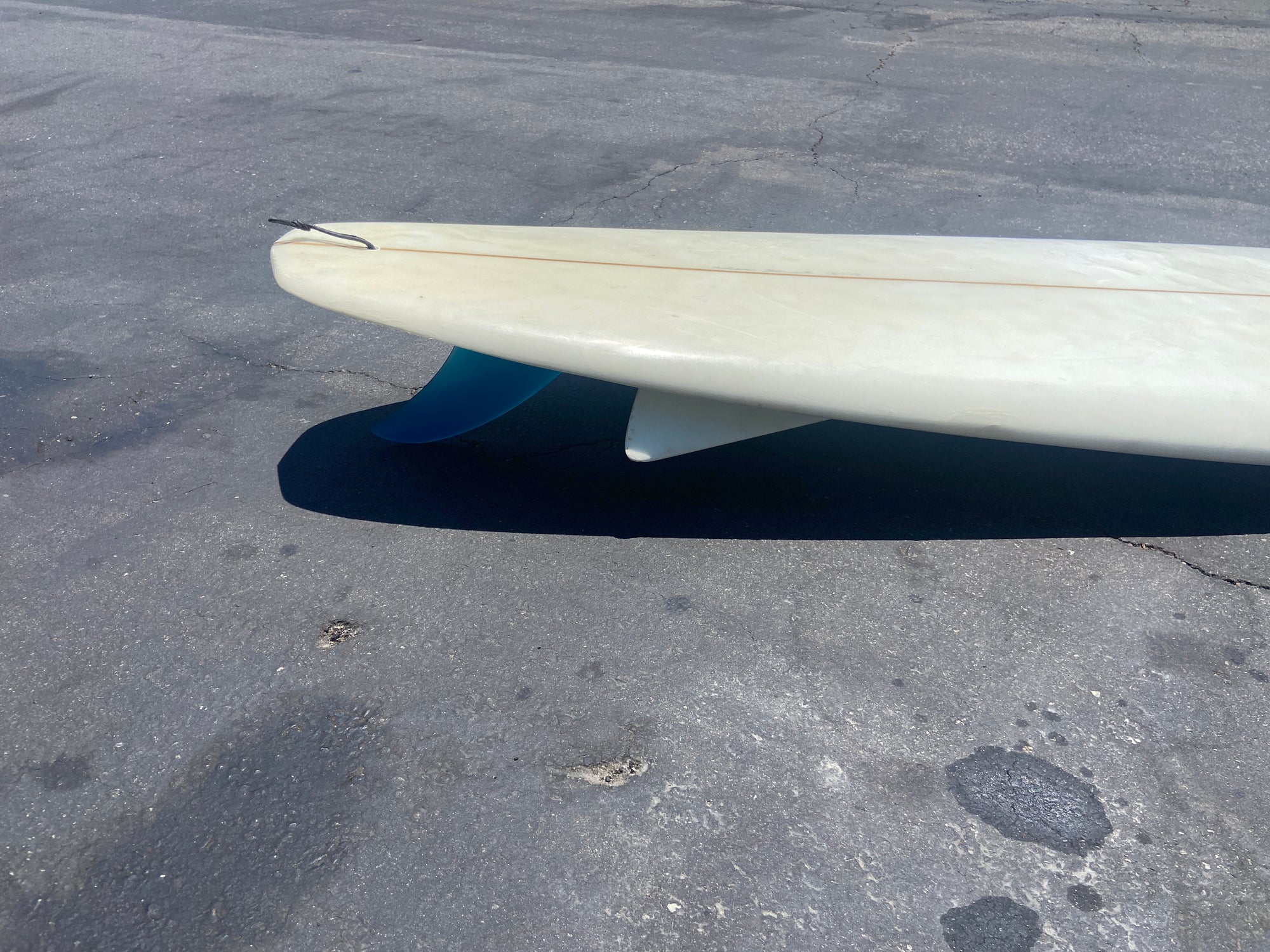 6'4" Alex Knost BMT Disco (Used)