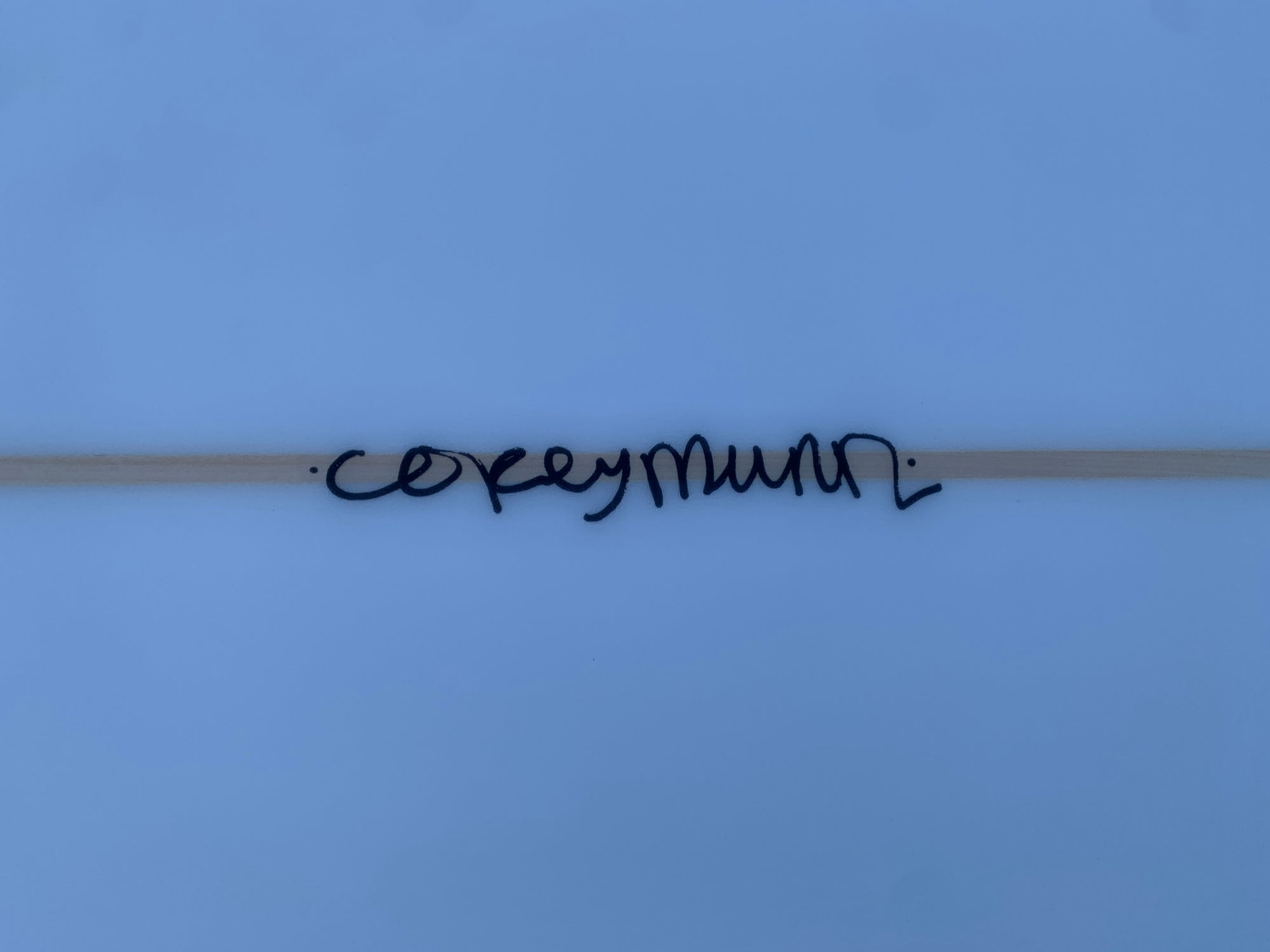 9'7" Corey Munn Pleasure Pin (Used)