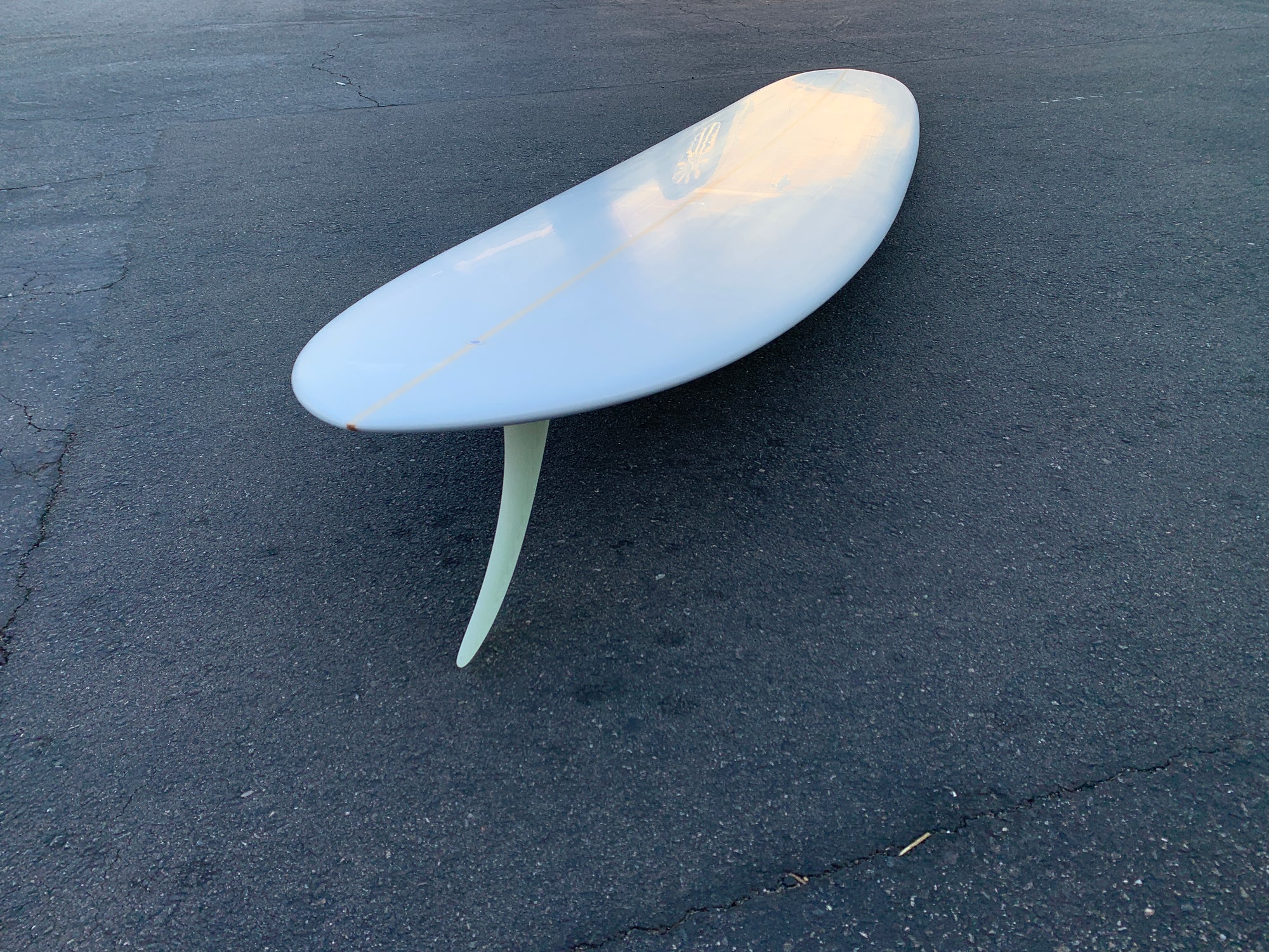9'7" Corey Munn Pleasure Pin (Used)