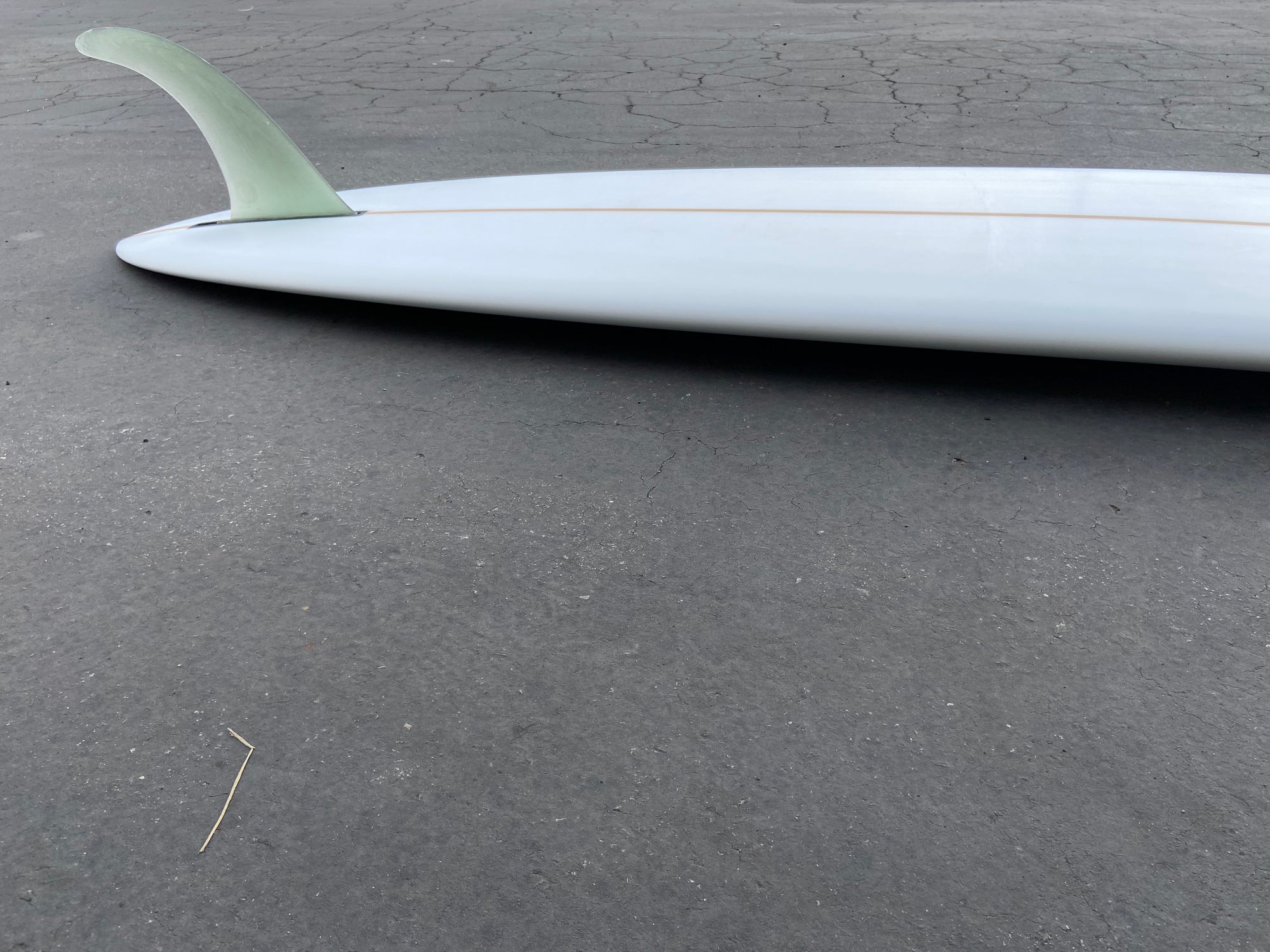 9'5" Tyler Warren NR Pintail