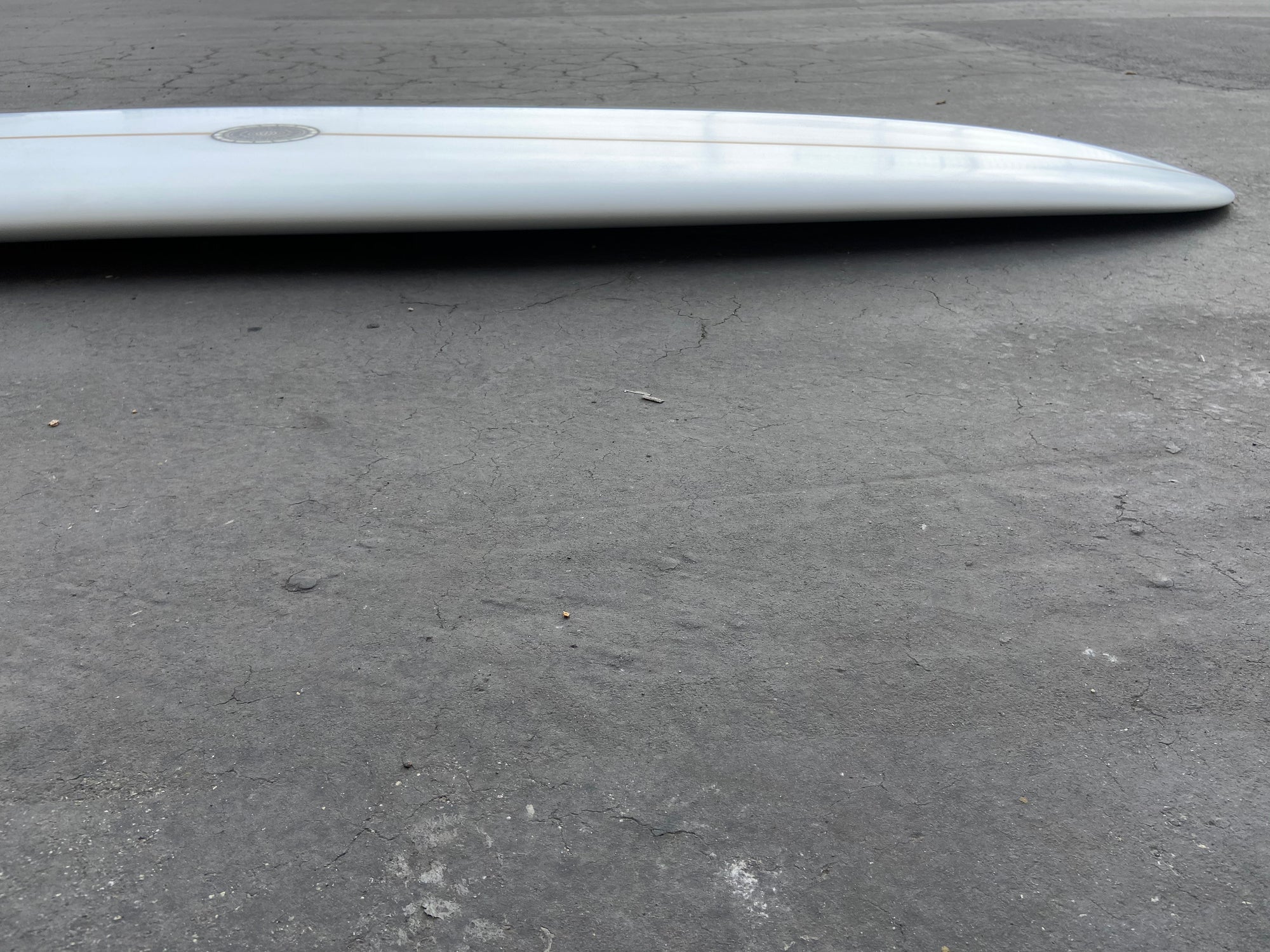 9'5" Tyler Warren NR Pintail