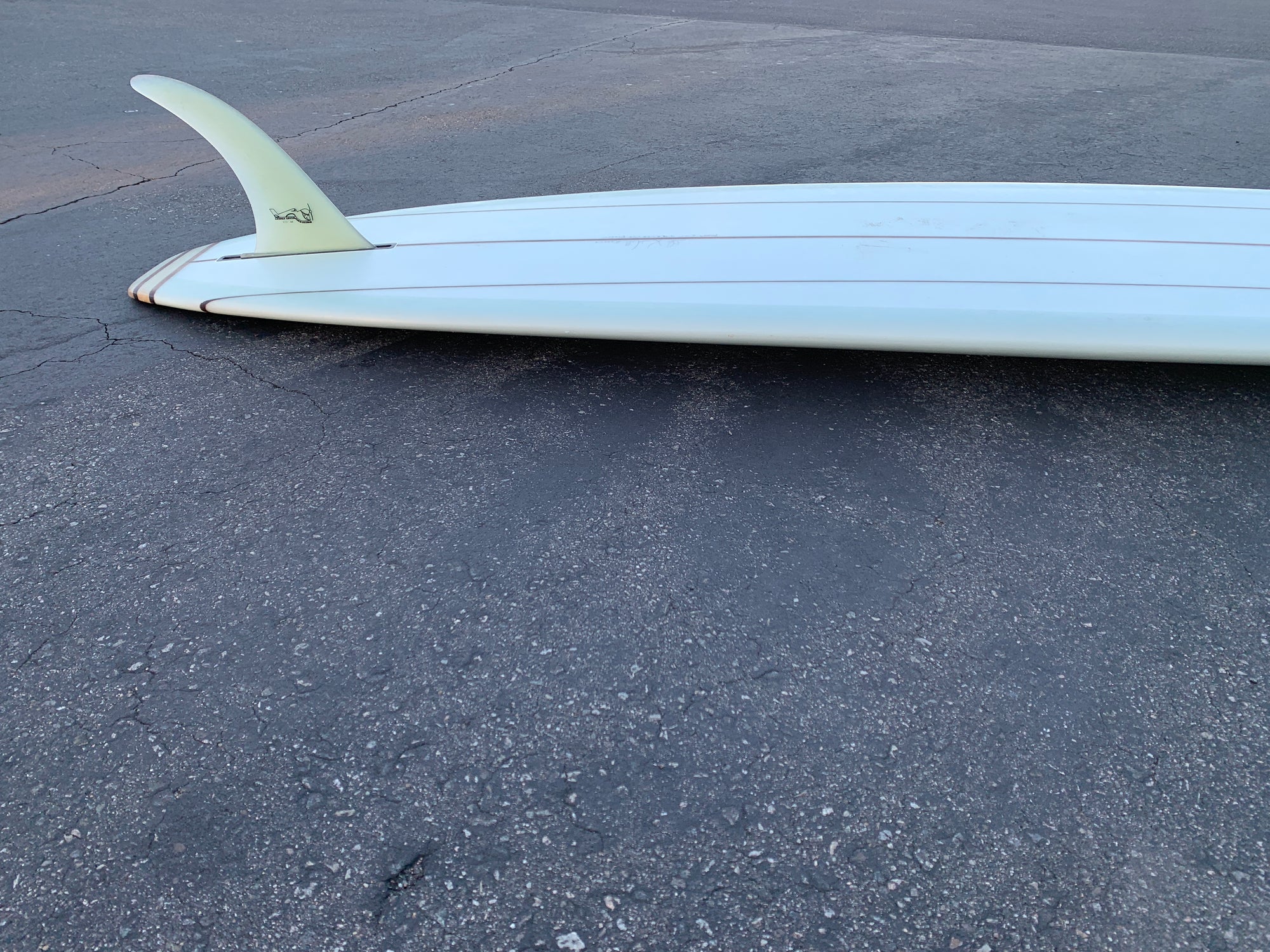 9'4" Kris Hall Pigpen (Used)