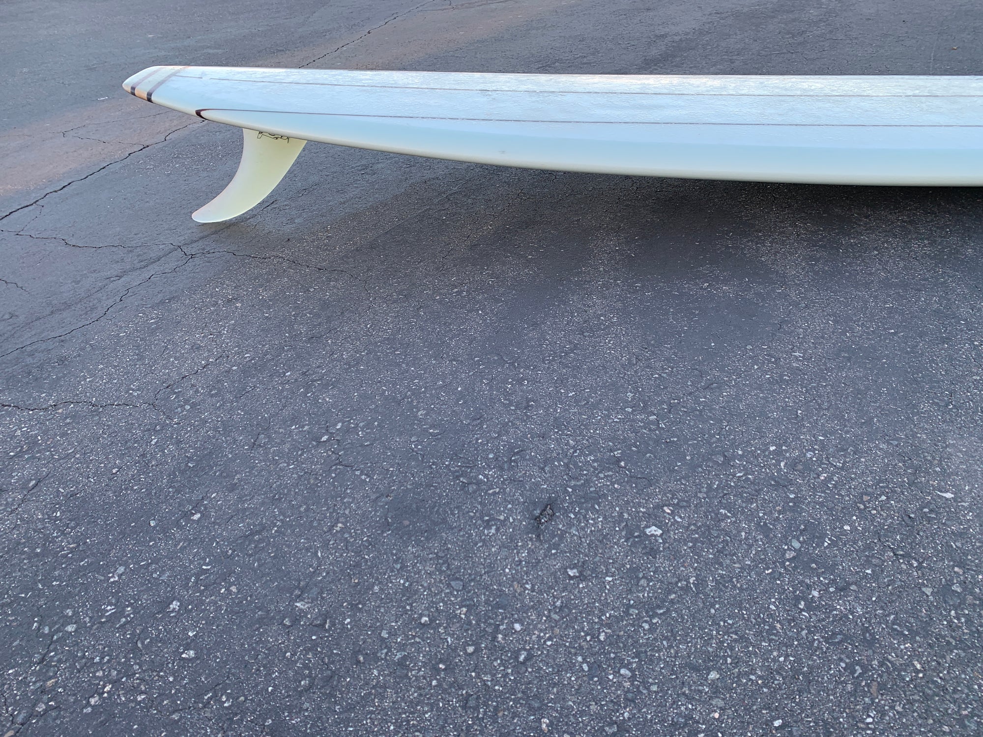 9'4" Kris Hall Pigpen (Used)