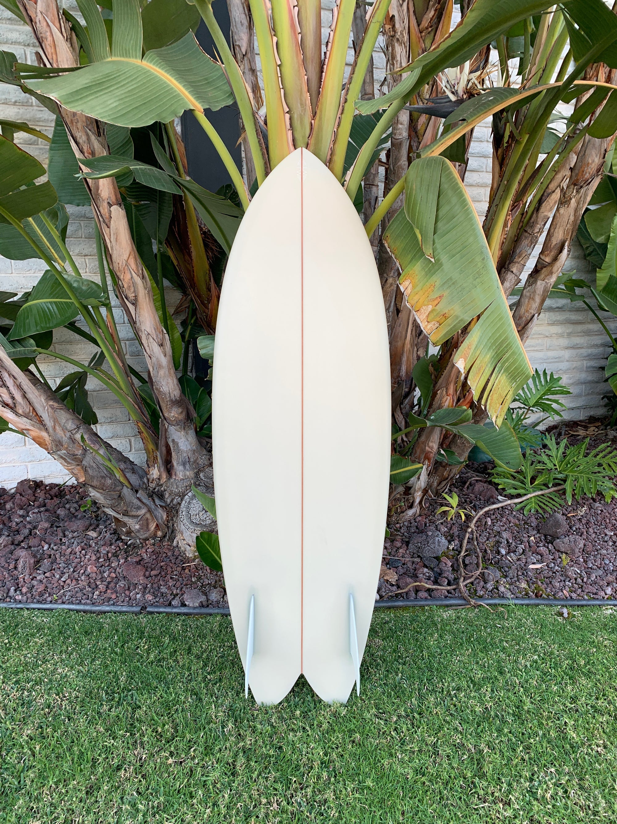5'6" Tyler Warren Dream Fish