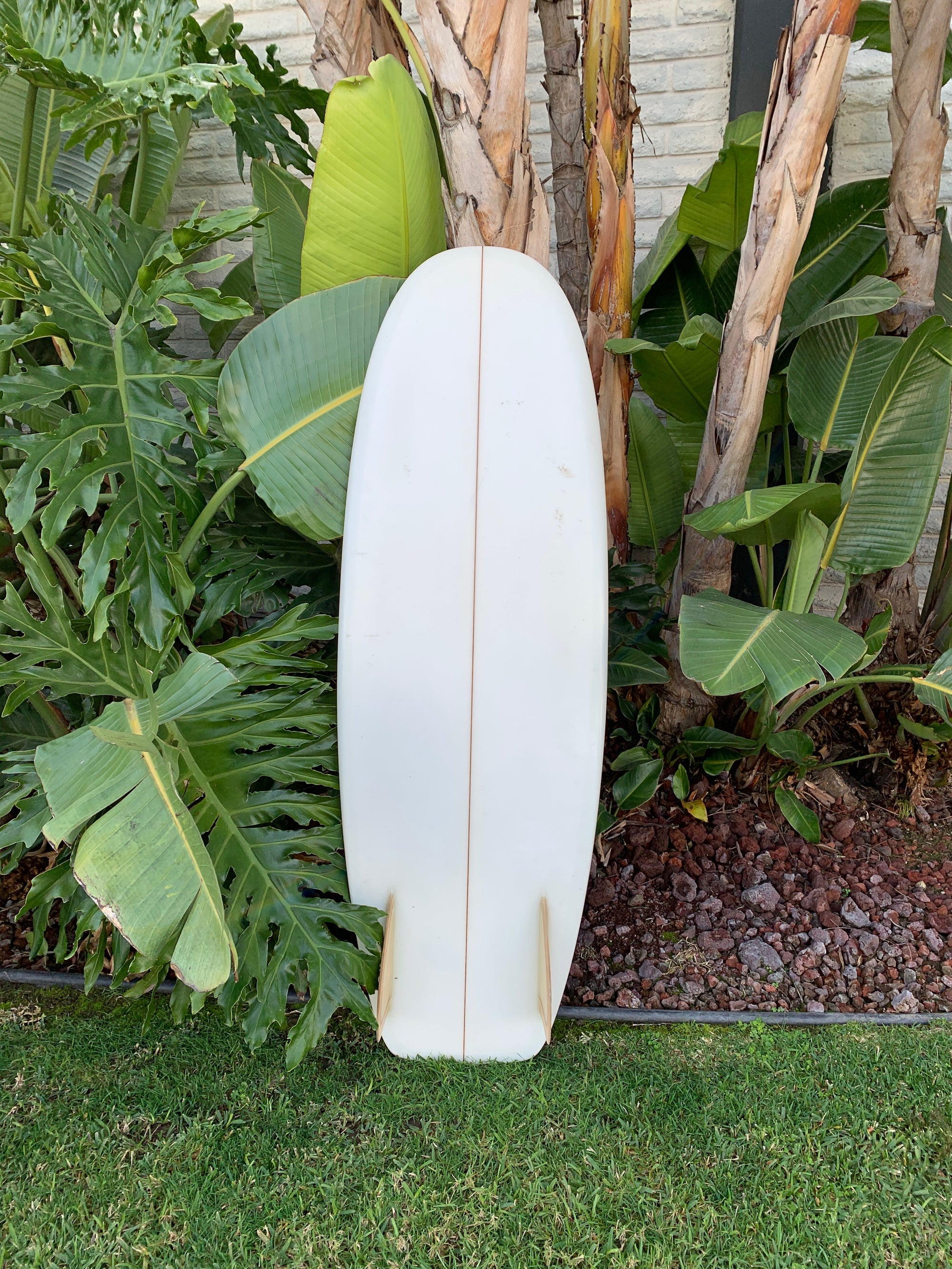 5'4" Tyler Warren Bar of Soap (Used)