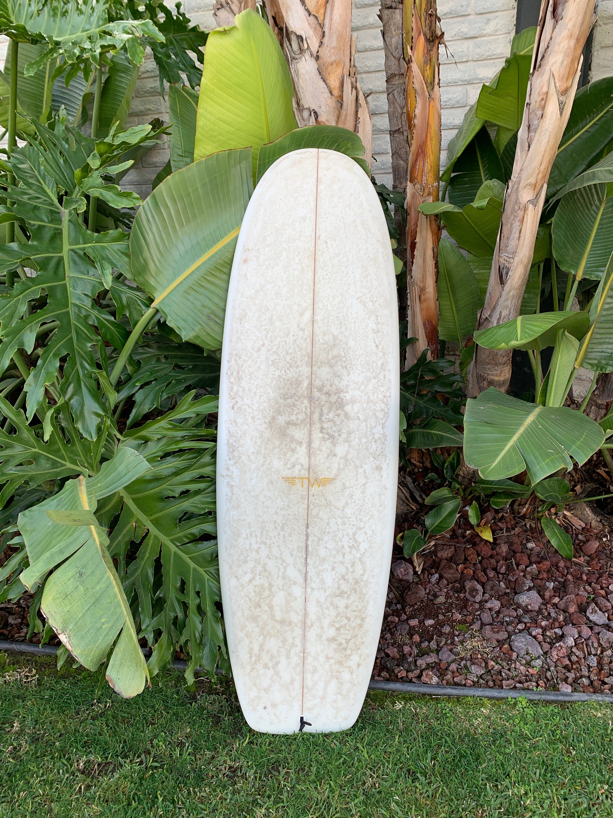 5'4" Tyler Warren Bar of Soap (Used)