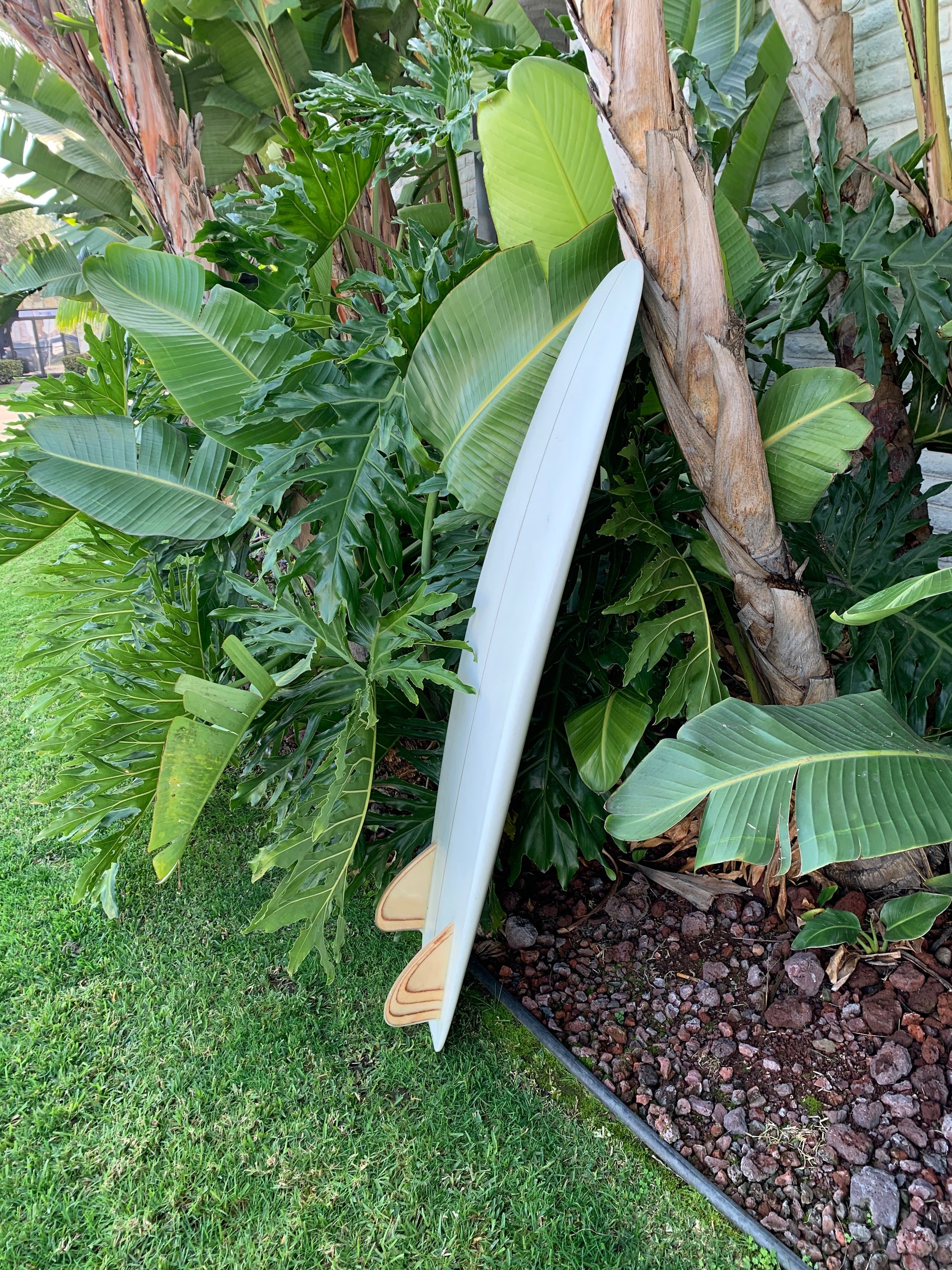 5'4" Tyler Warren Bar of Soap (Used)