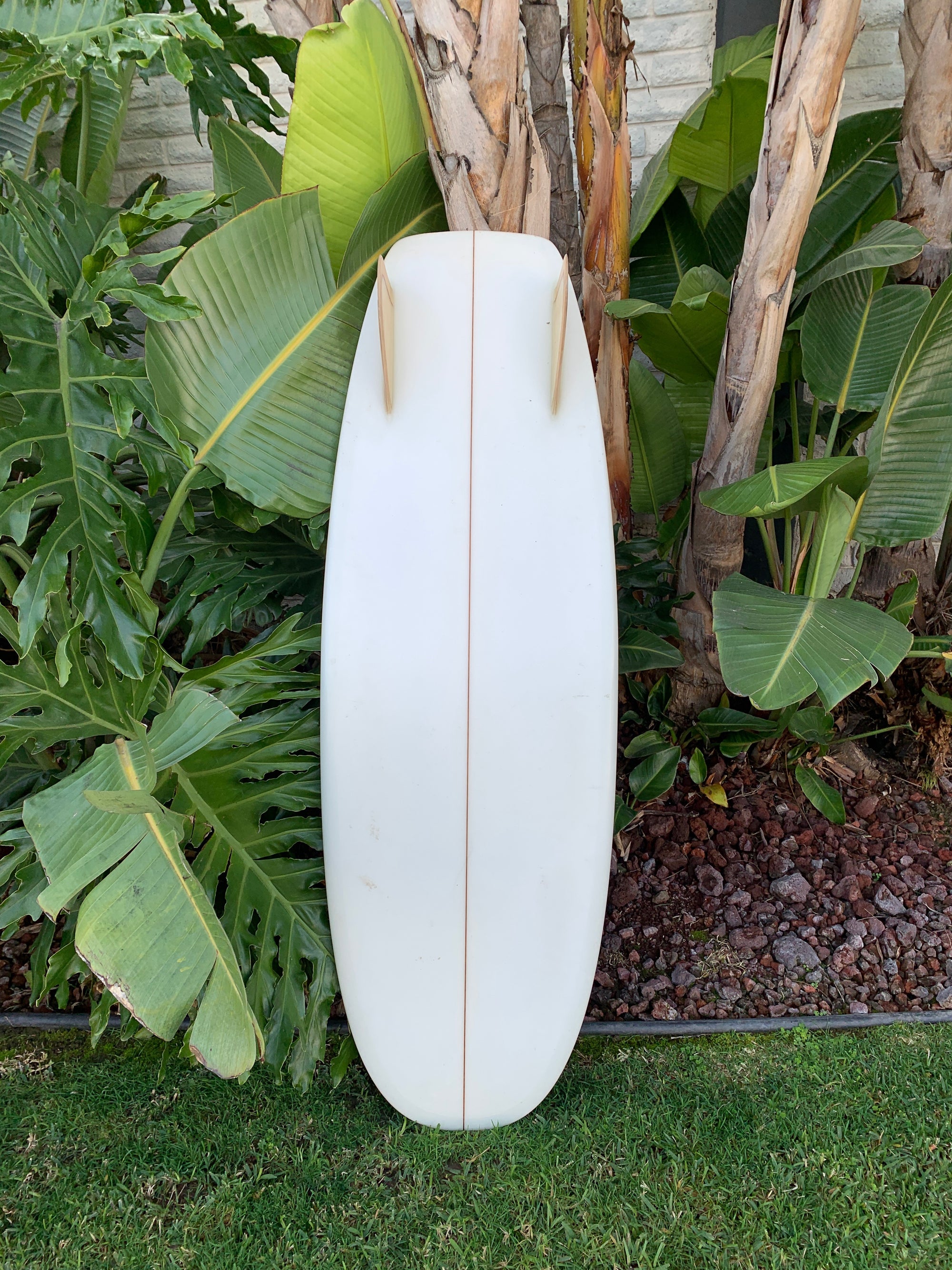 5'4" Tyler Warren Bar of Soap (Used)