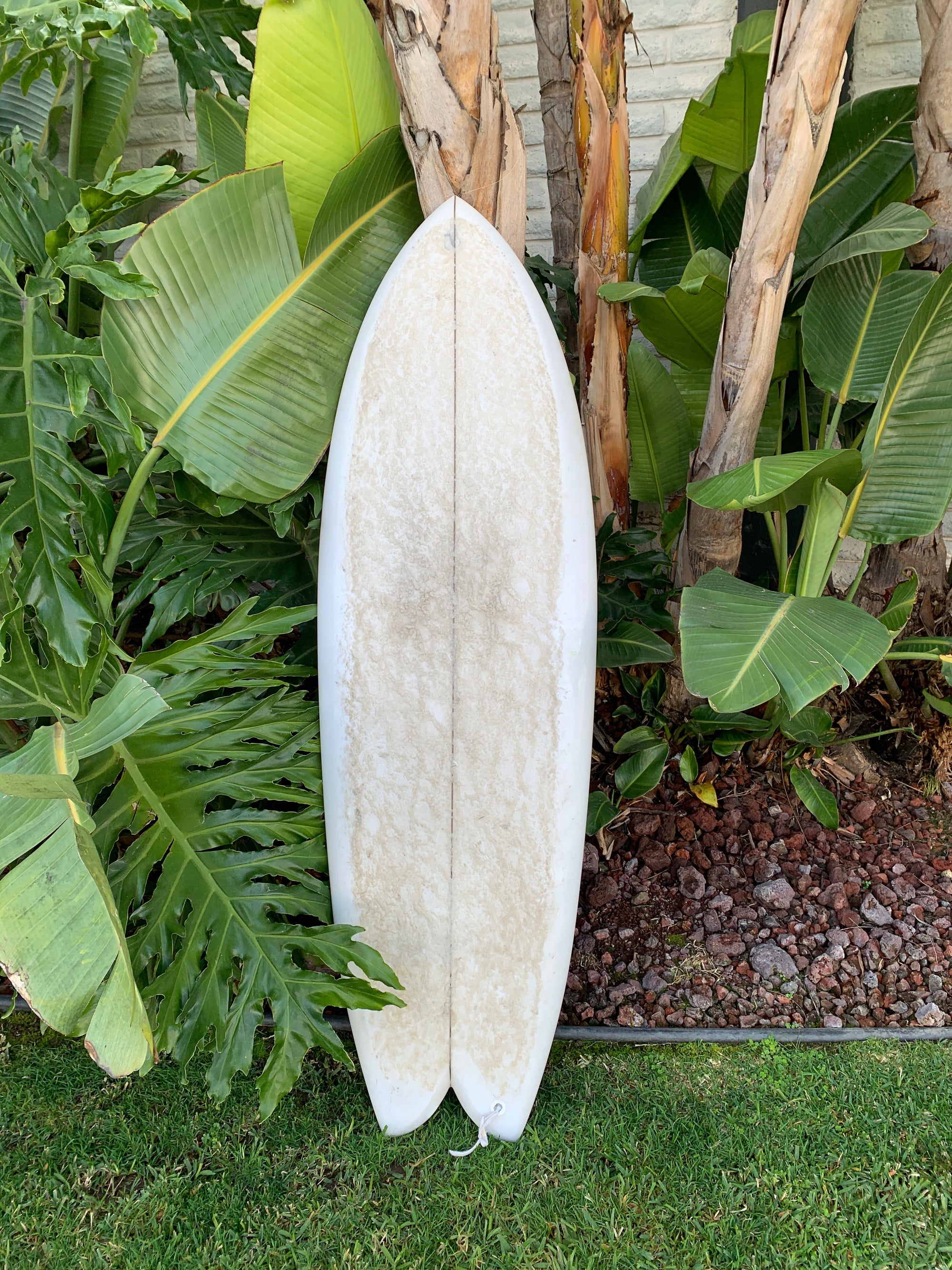 5'5" Derrick Disney Twinzr Fish (Used)