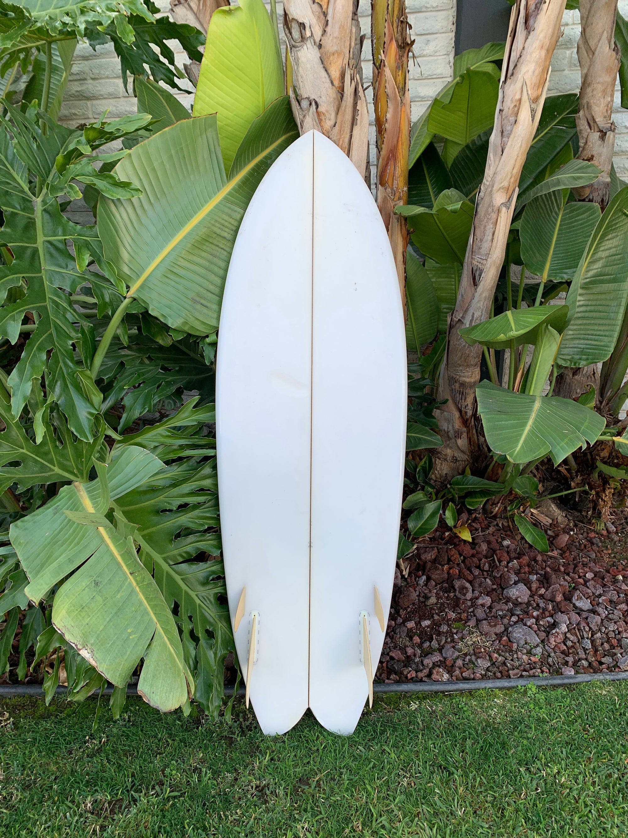 5'5" Derrick Disney Twinzr Fish (Used)