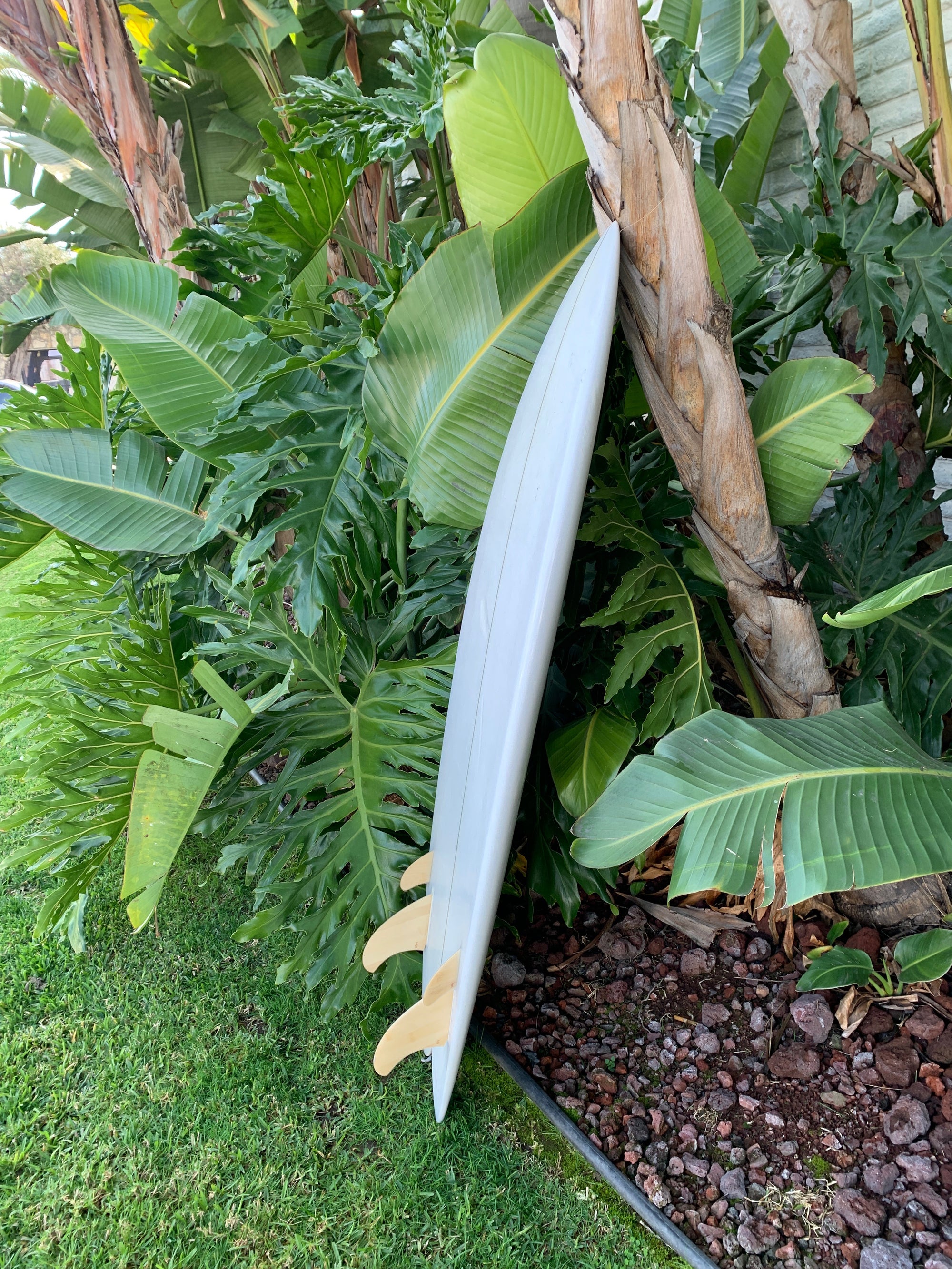 5'5" Derrick Disney Twinzr Fish (Used)