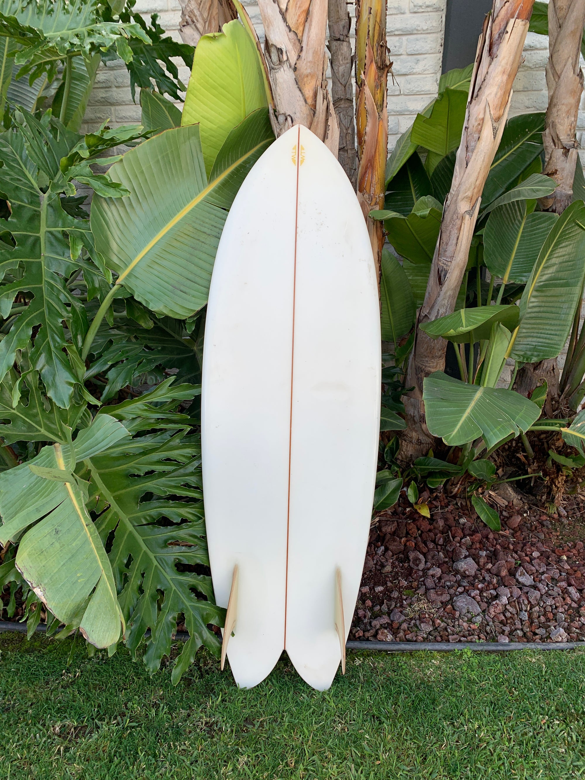 5'7" Tyler Warren Dream Fish (Used)