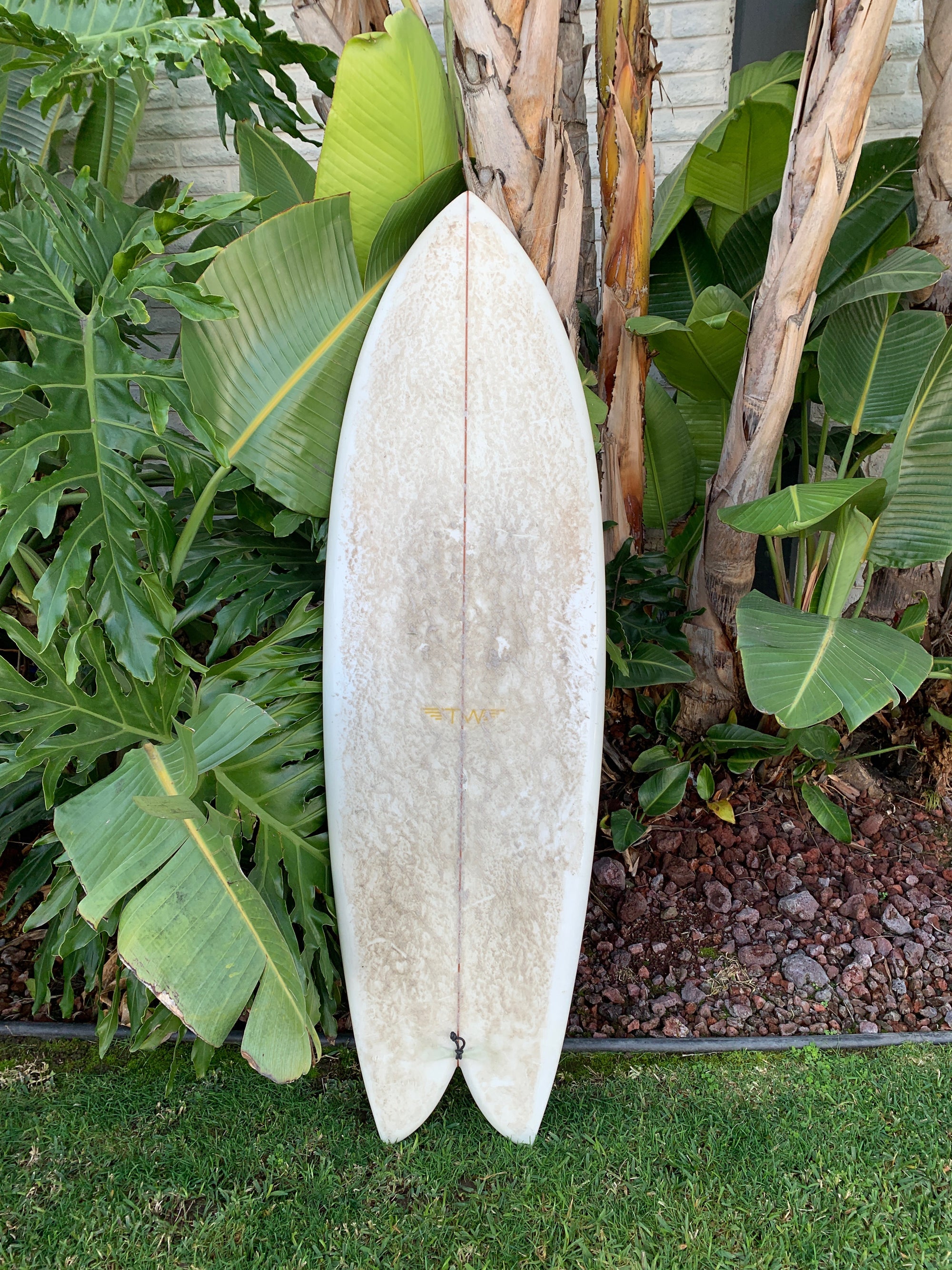 5'7" Tyler Warren Dream Fish (Used)