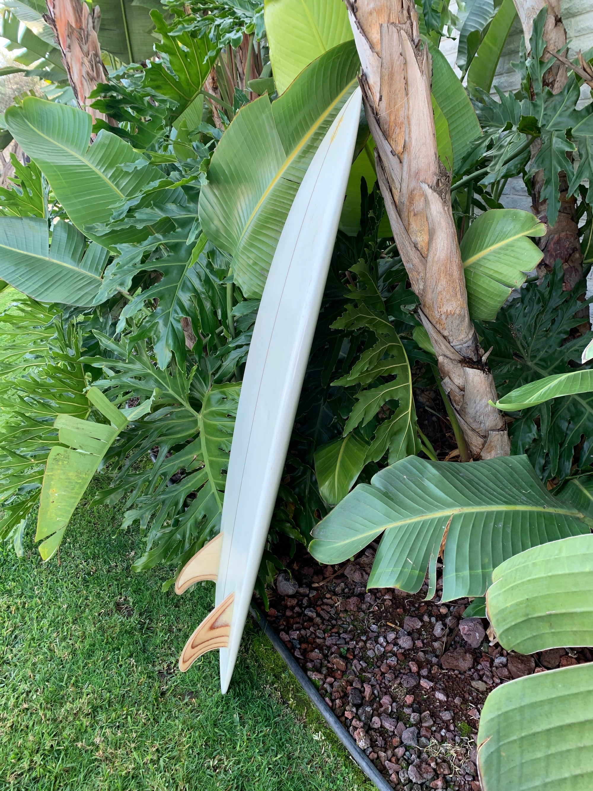 5'7" Tyler Warren Dream Fish (Used)