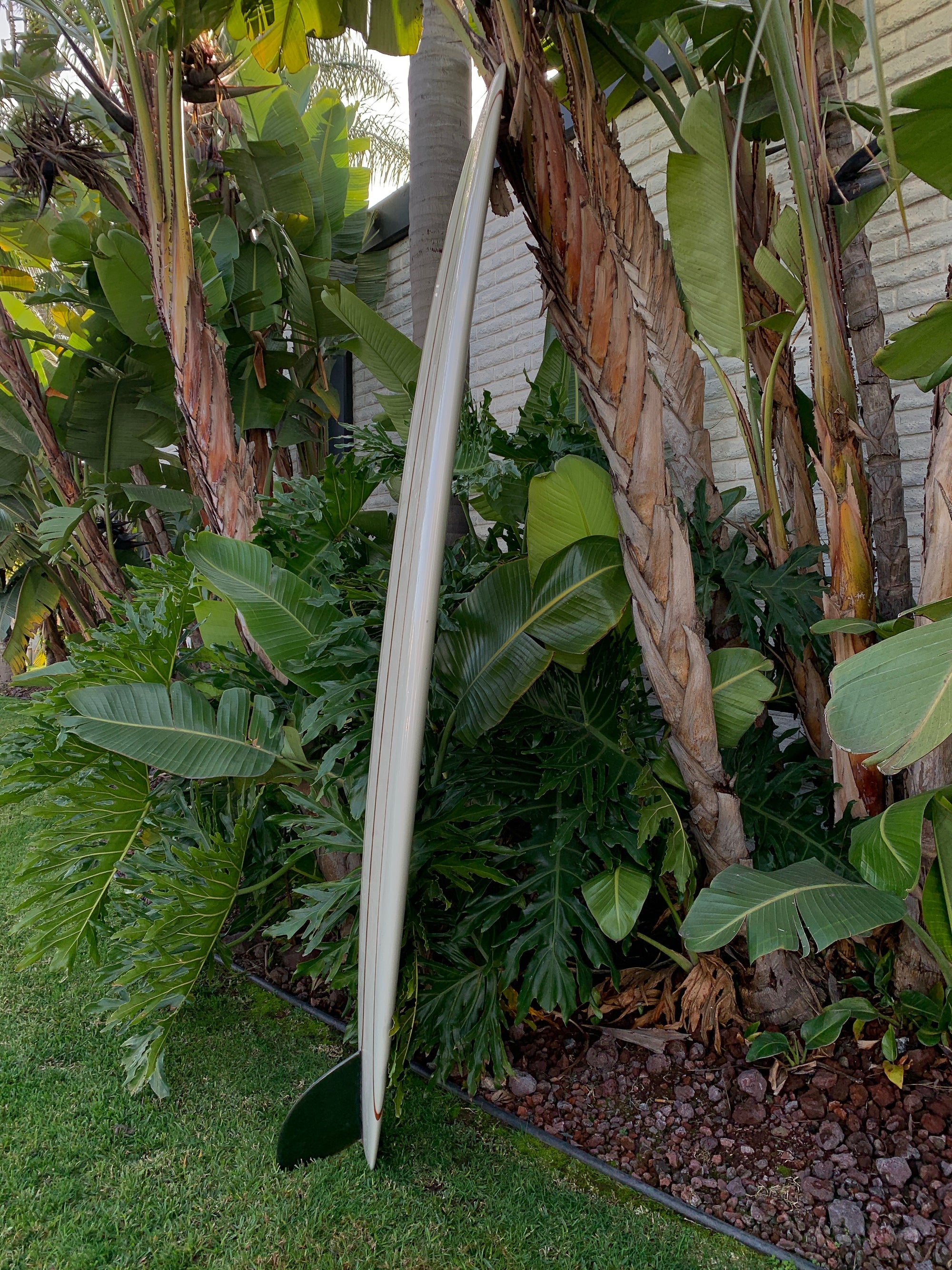 9'6" Arenal Dreamer (Used)