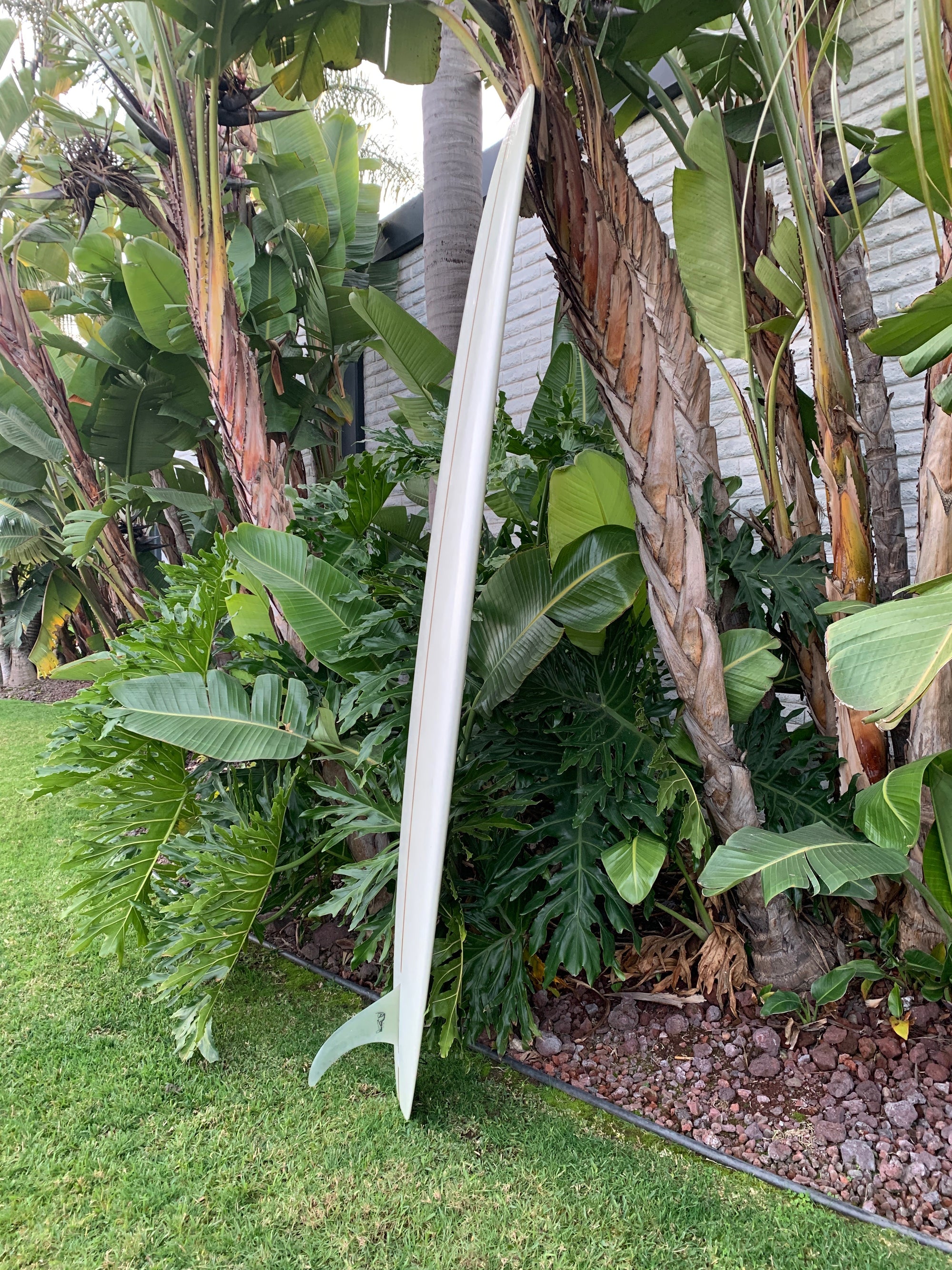 9'4" Nettleton Multiply (Used)