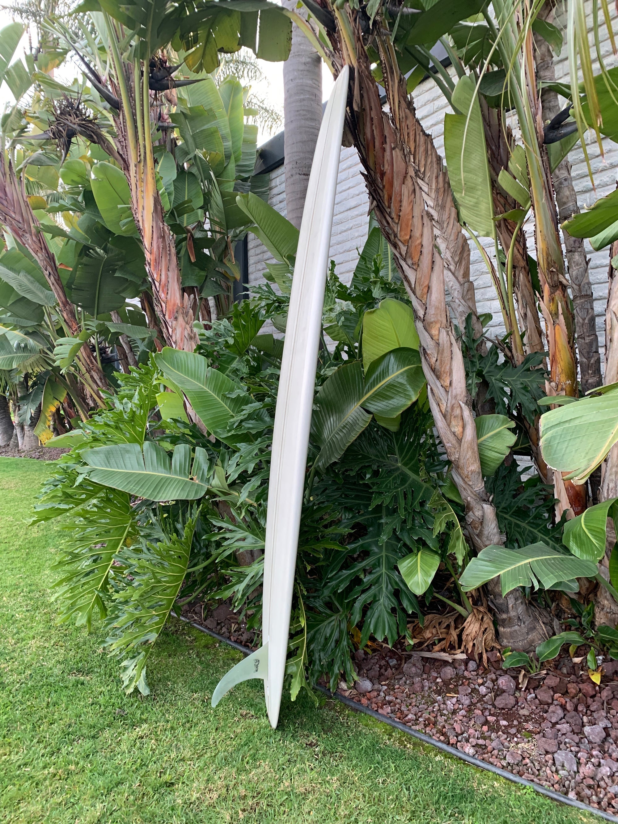 9'4" Grant Noble Wilbur (Used)