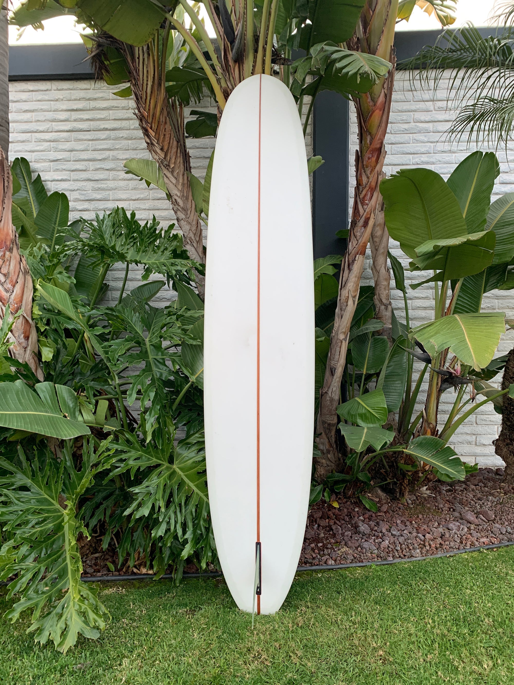 9'7" Elmore Sam's Club (Used)