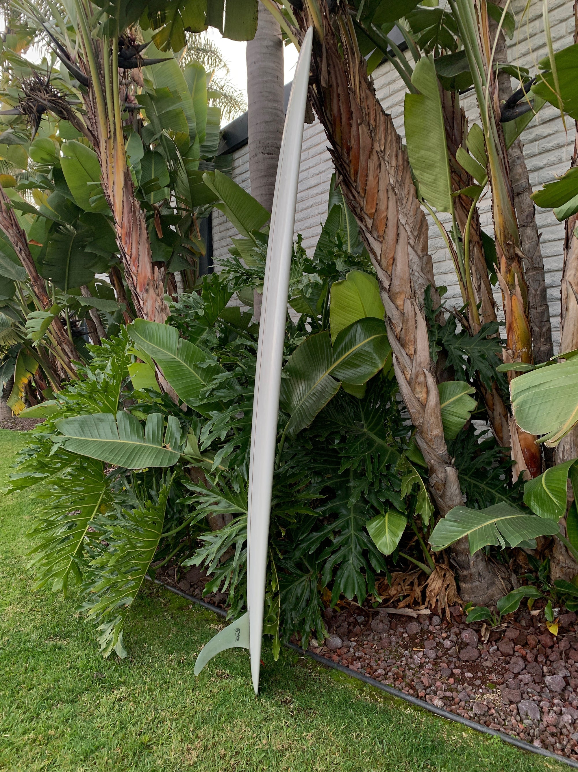 9'7" Elmore Sam's Club (Used)