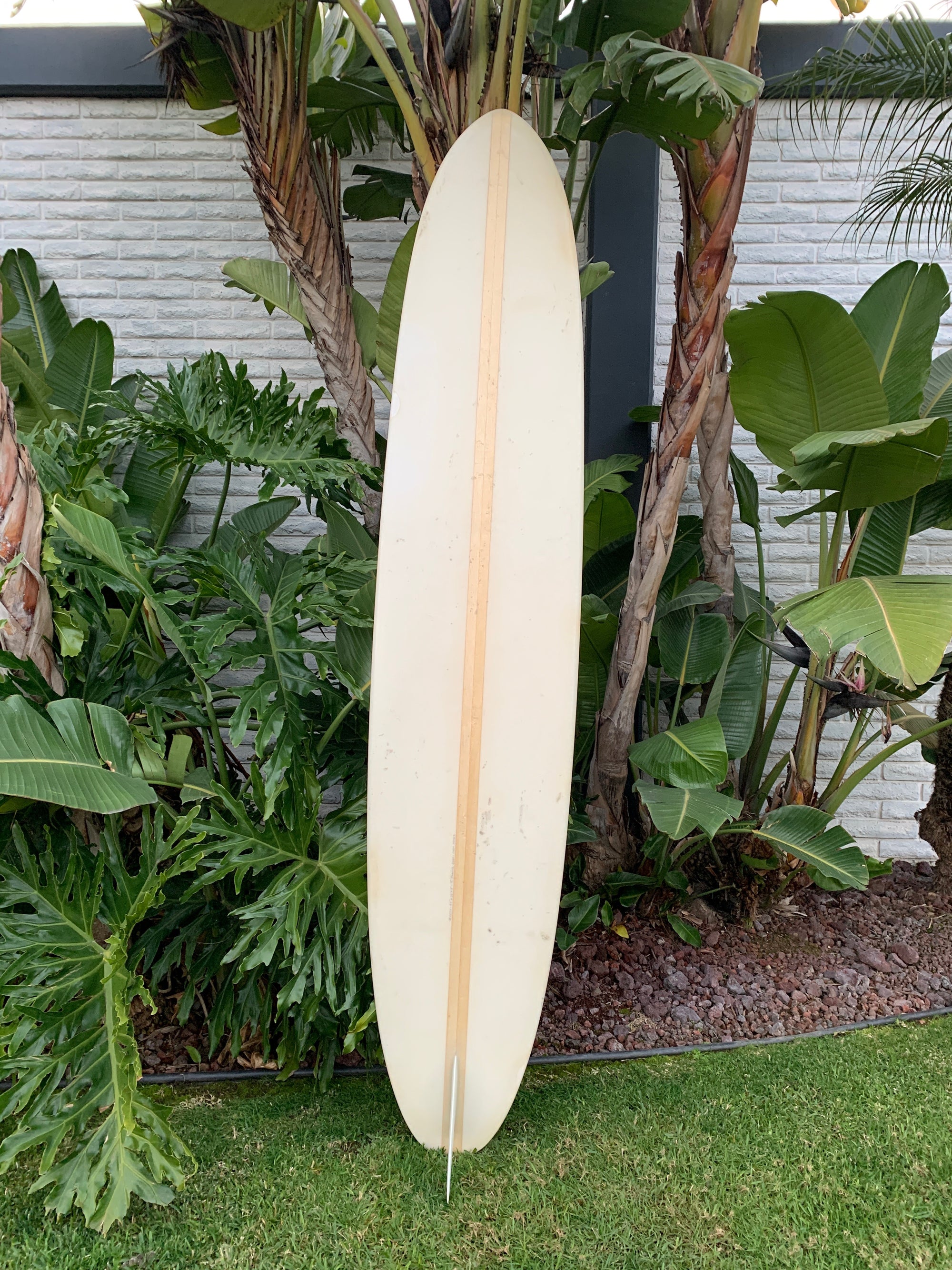 9'5" Tanner Dash (Used)