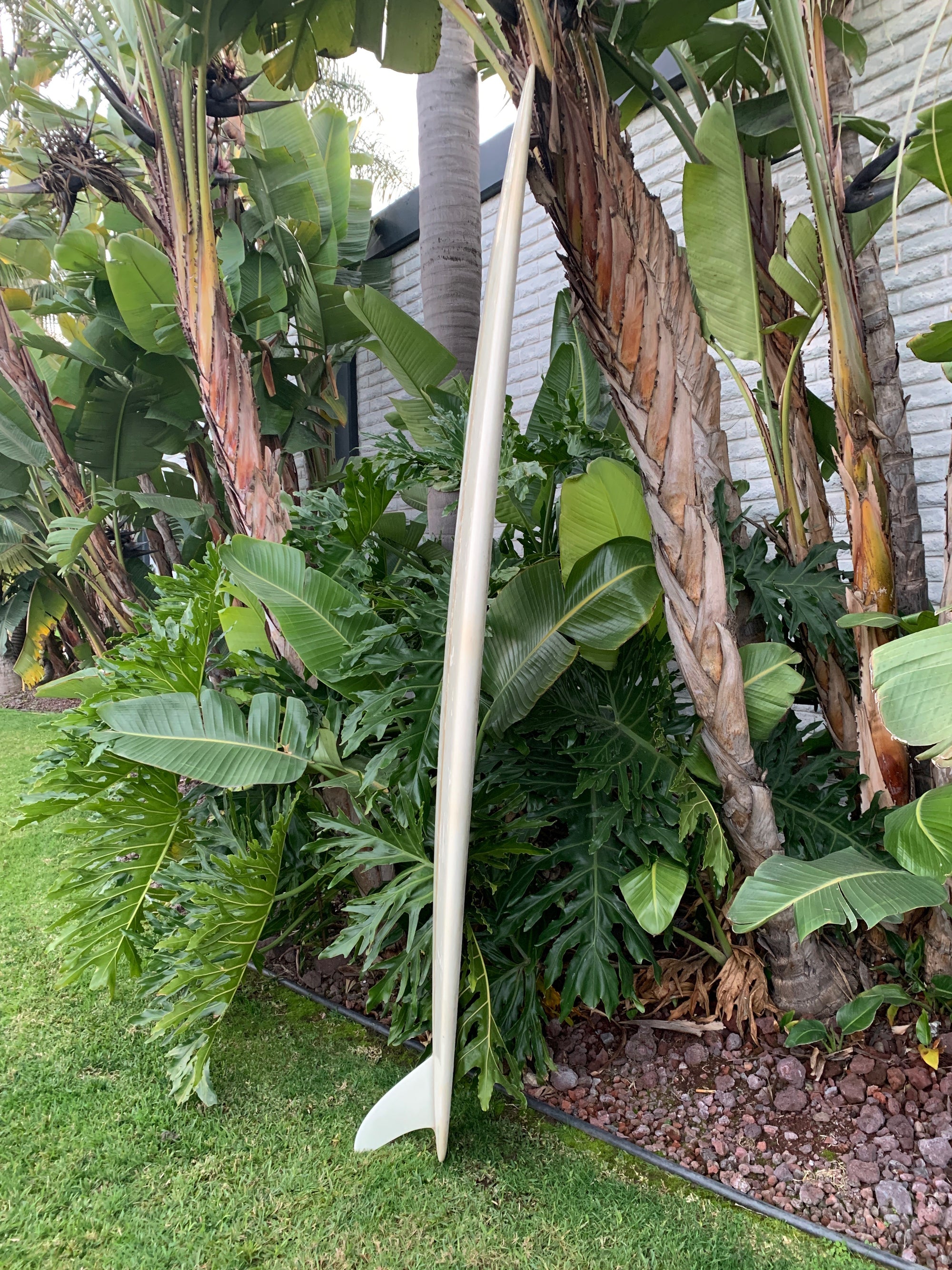 9'5" Tanner Dash (Used)