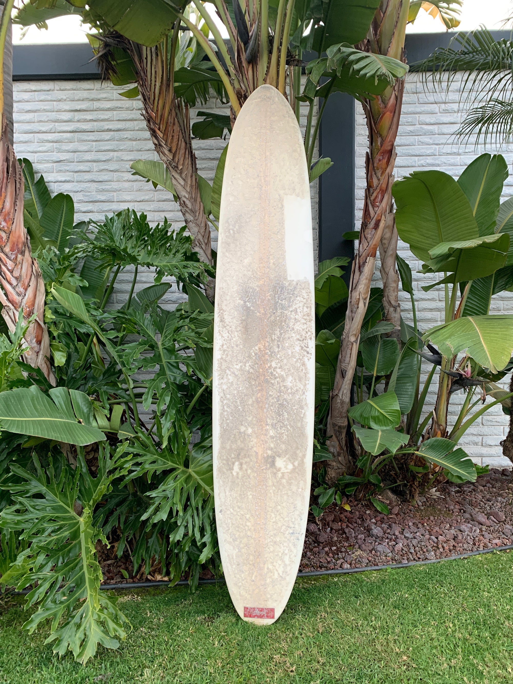 9'5" Tanner Dash (Used)