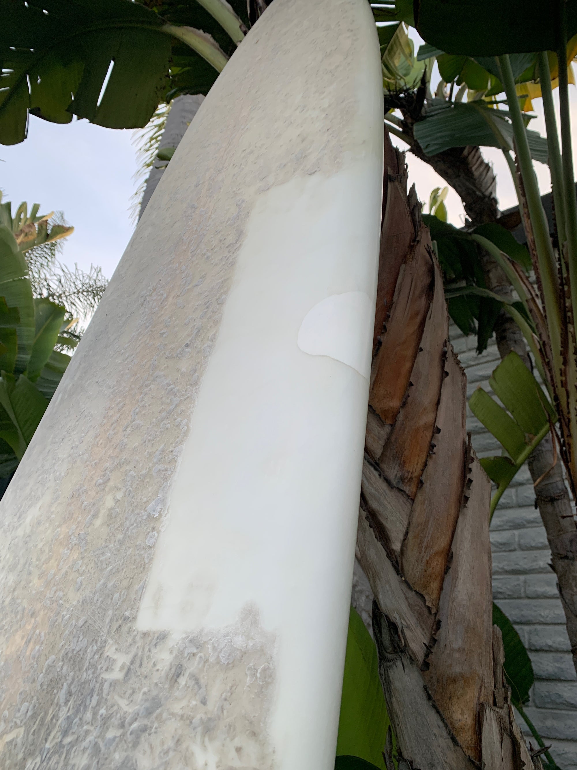 9'5" Tanner Dash (Used)
