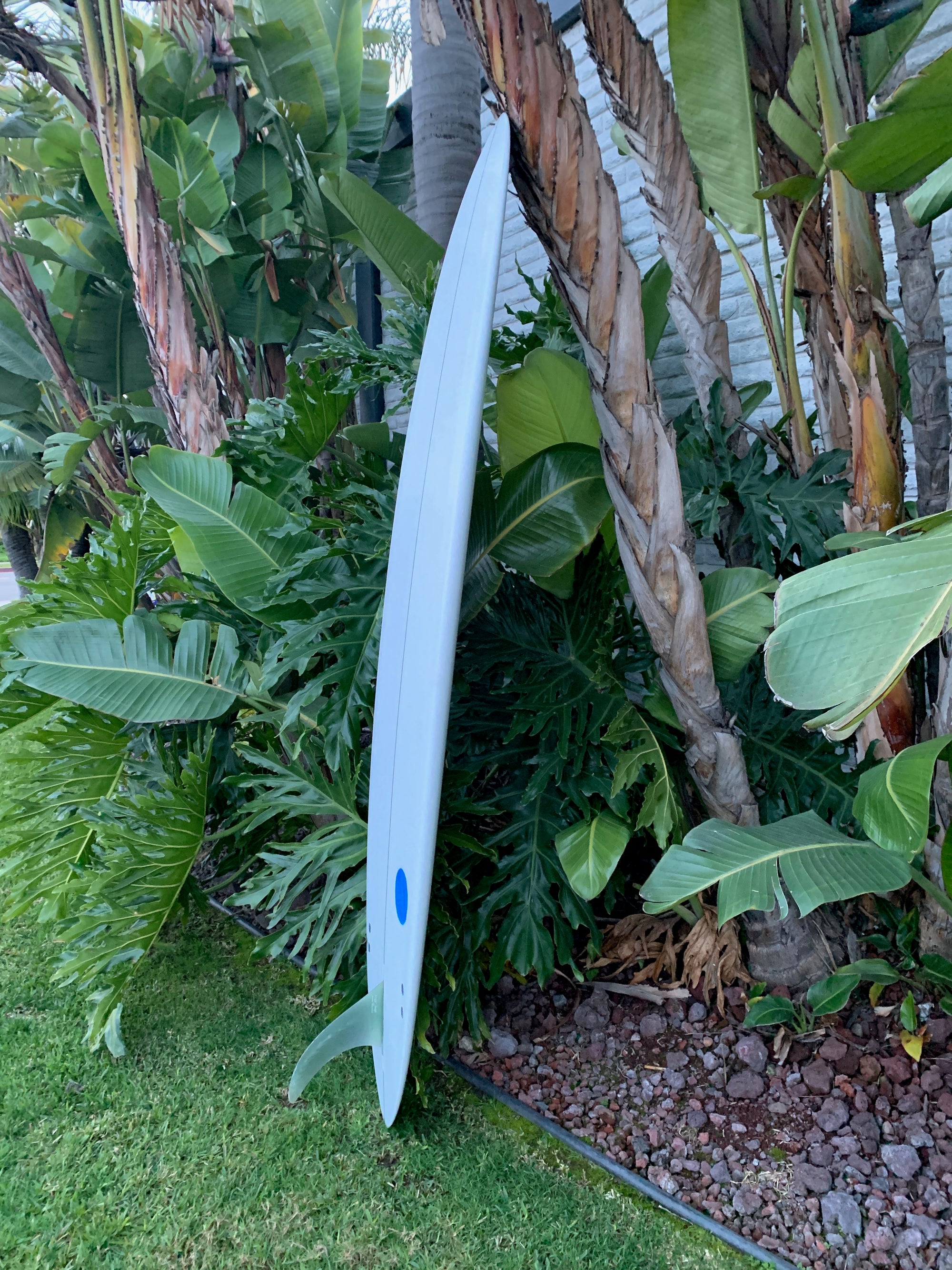 8'0" Ryan Lovelace Thick Lizzy