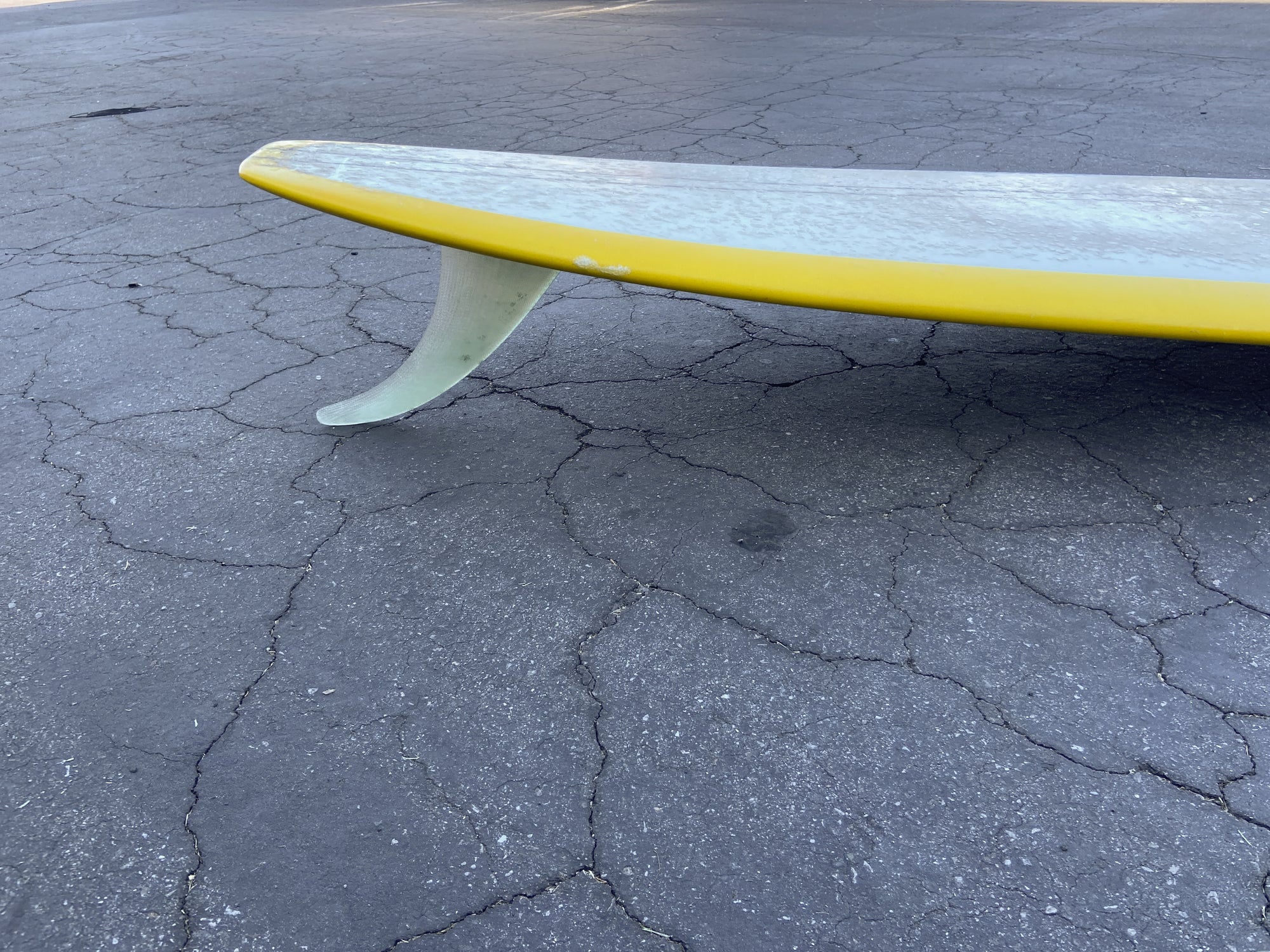 9'2" Kris Hall Daily Cup (Used)