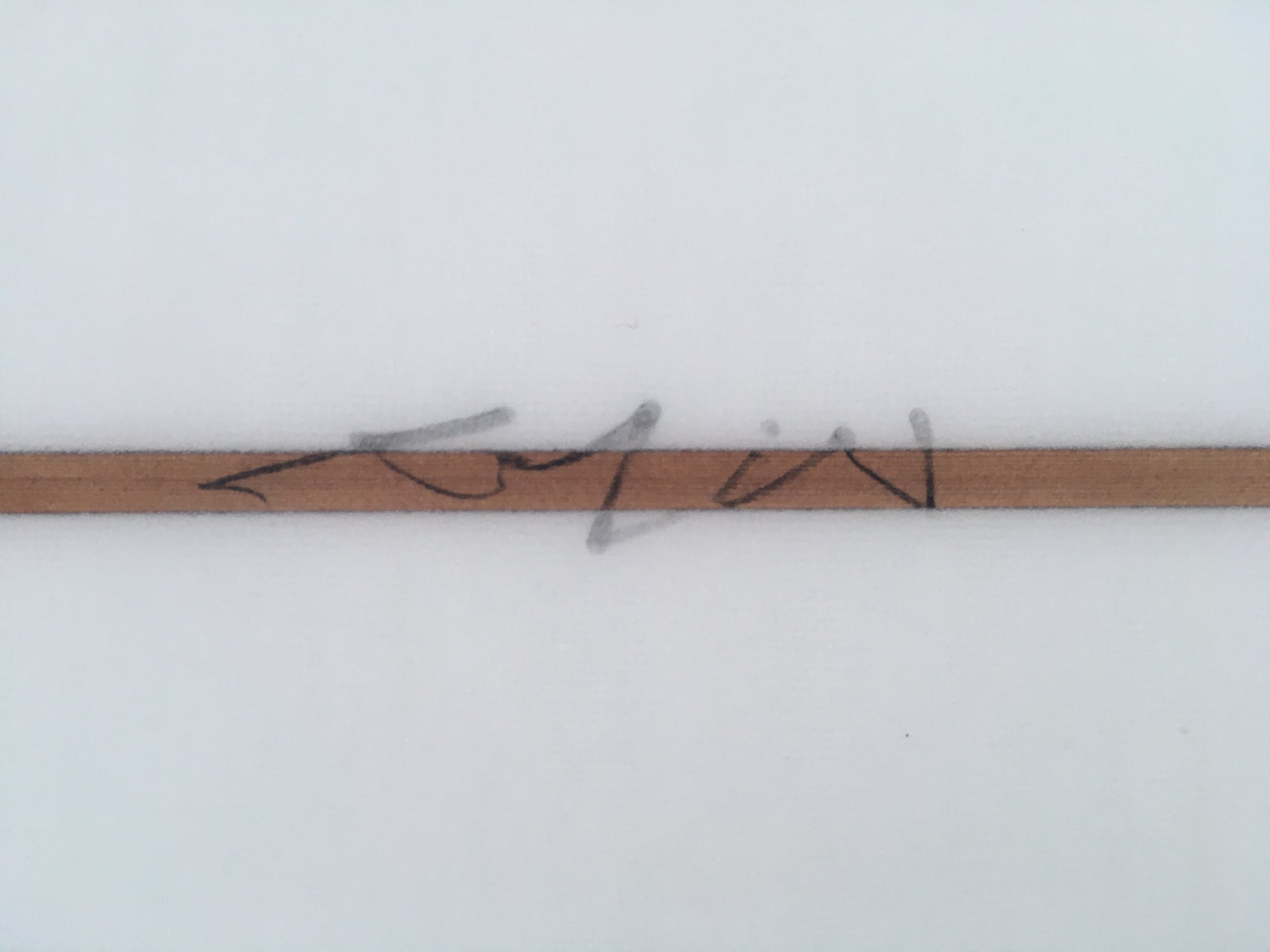 8'11" Gato Heroi Surfar