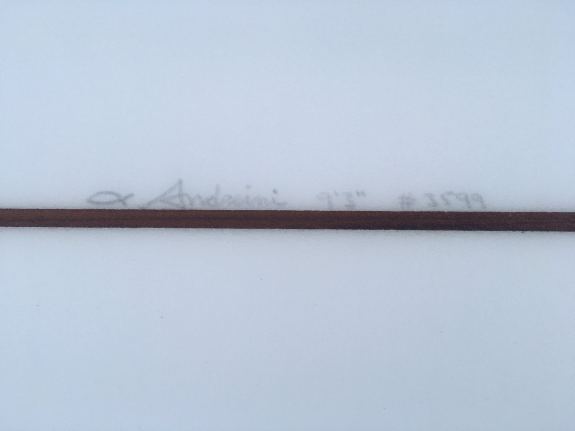 9'3" Andreini Serena Glider