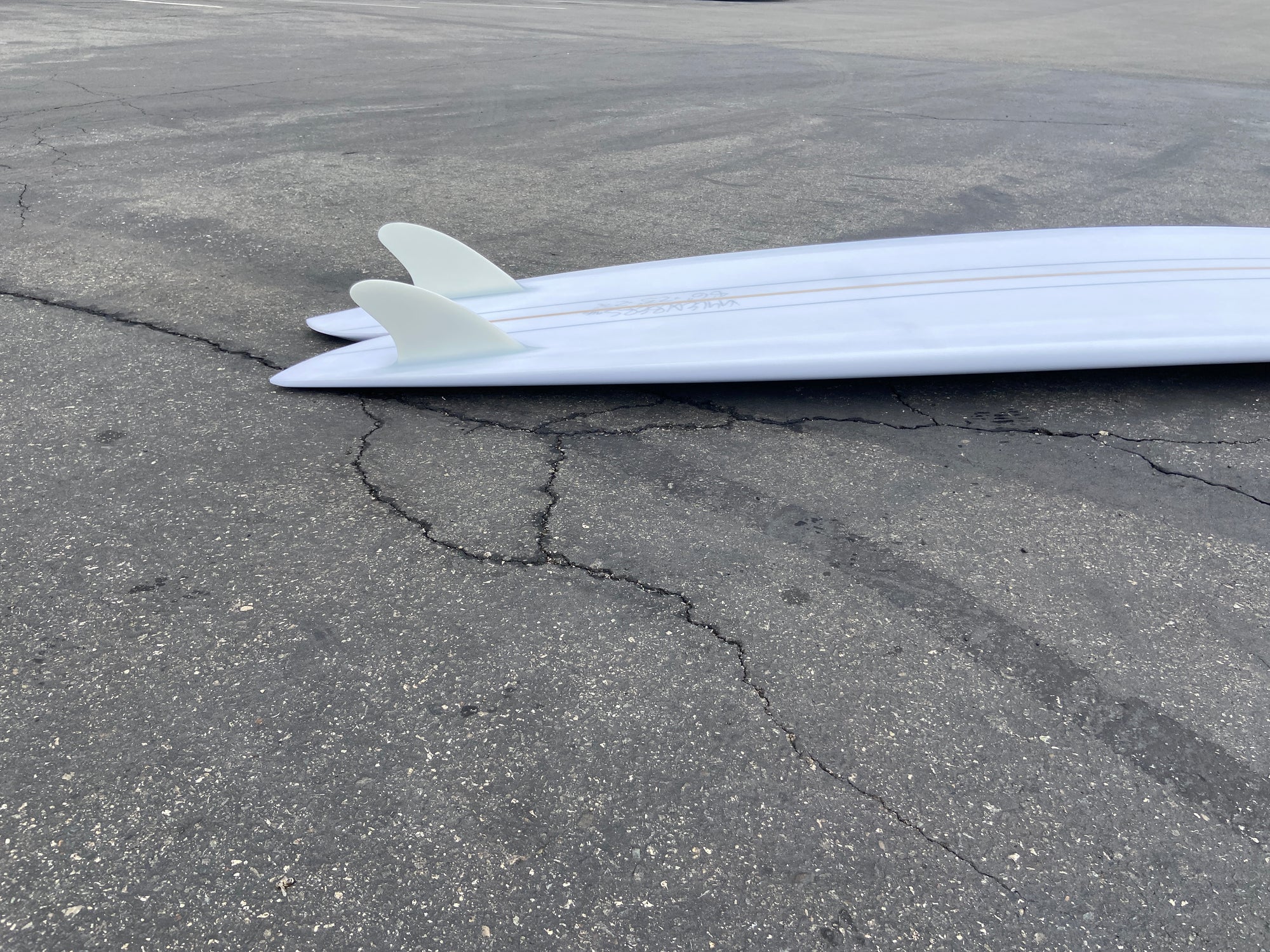 8'8" Deepest Reaches Mega Fish