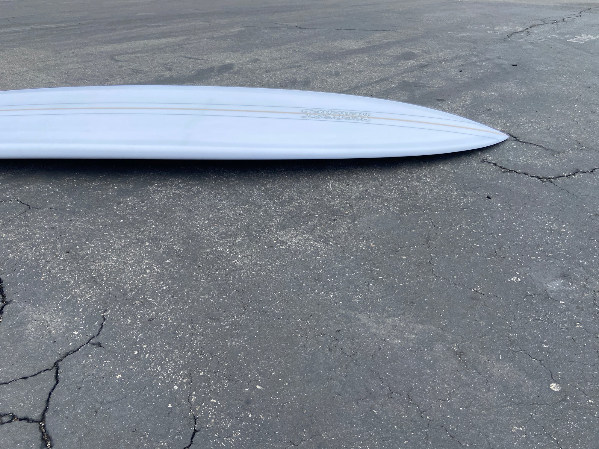 8'8" Deepest Reaches Mega Fish