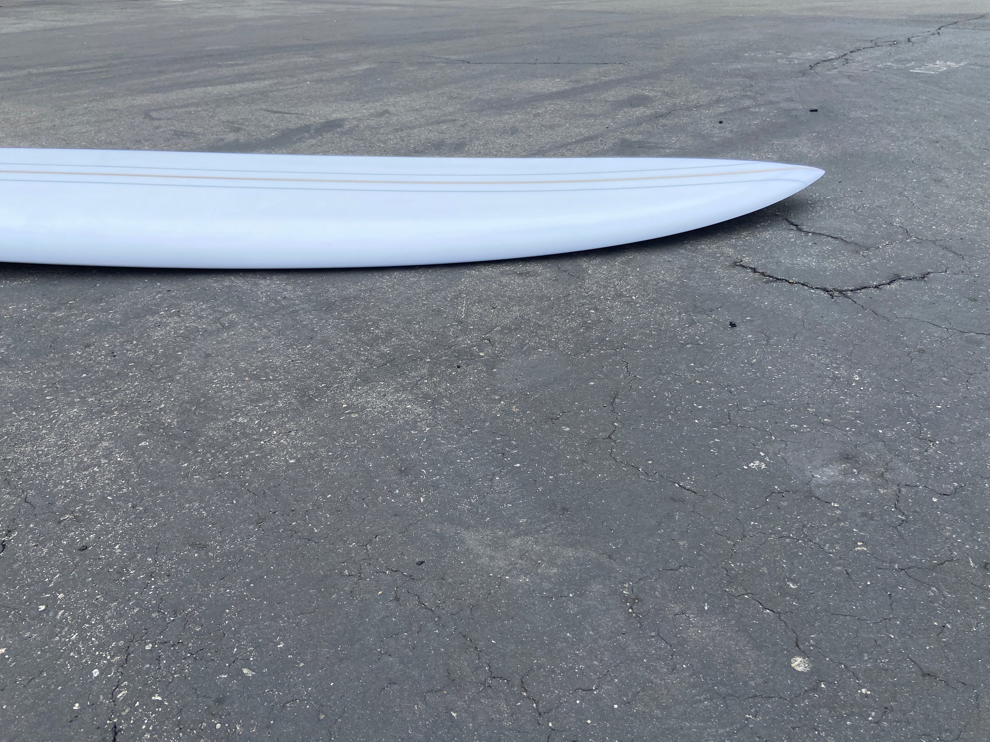 8'8" Deepest Reaches Mega Fish