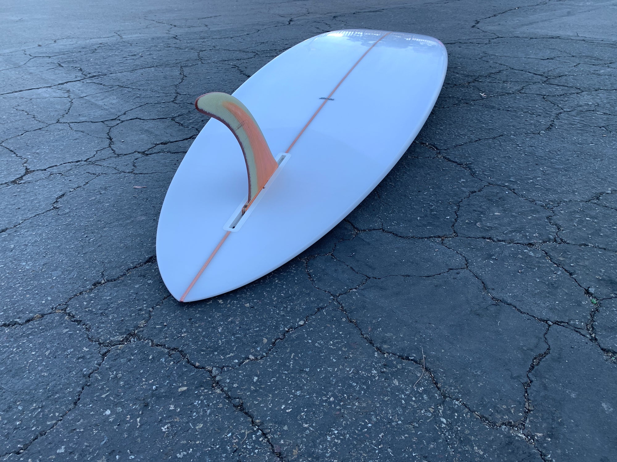 7'3" Arenal Sighthound