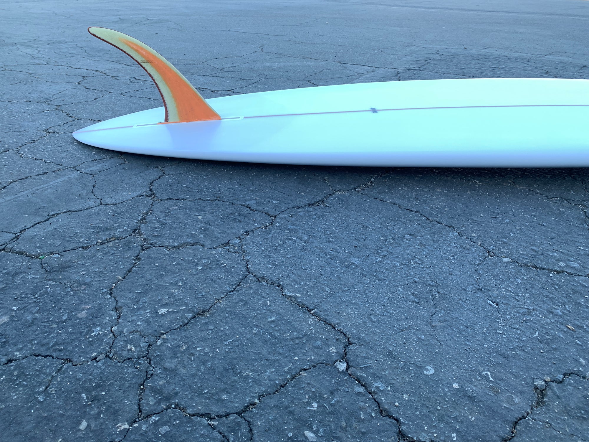 7'3" Arenal Sighthound