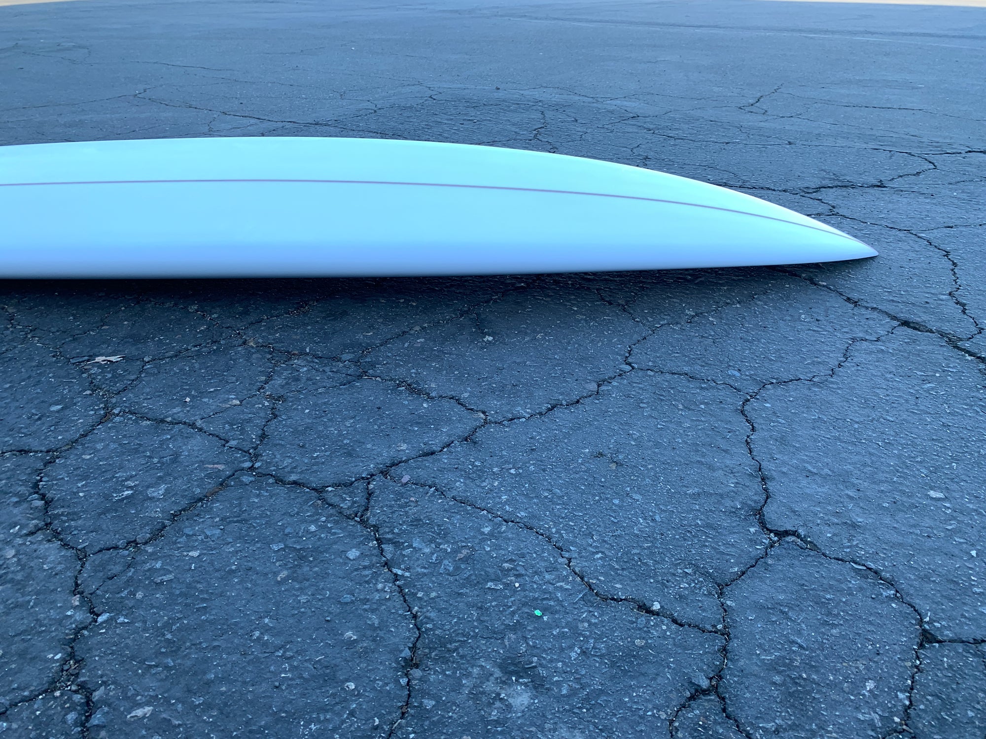 7'3" Arenal Sighthound