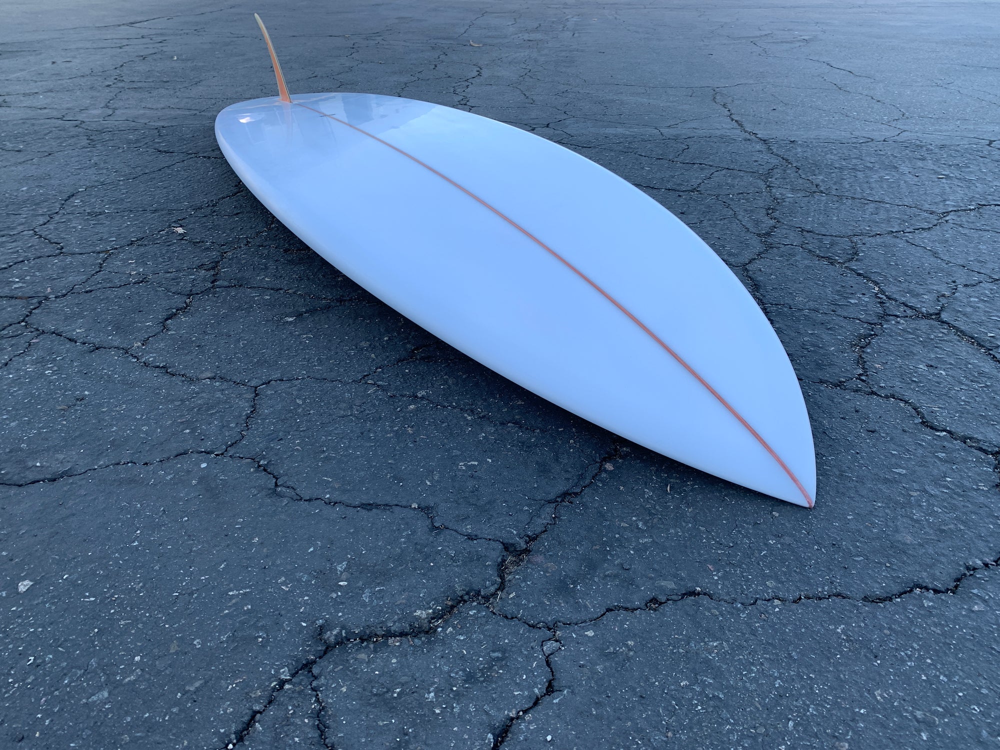 7'3" Arenal Sighthound