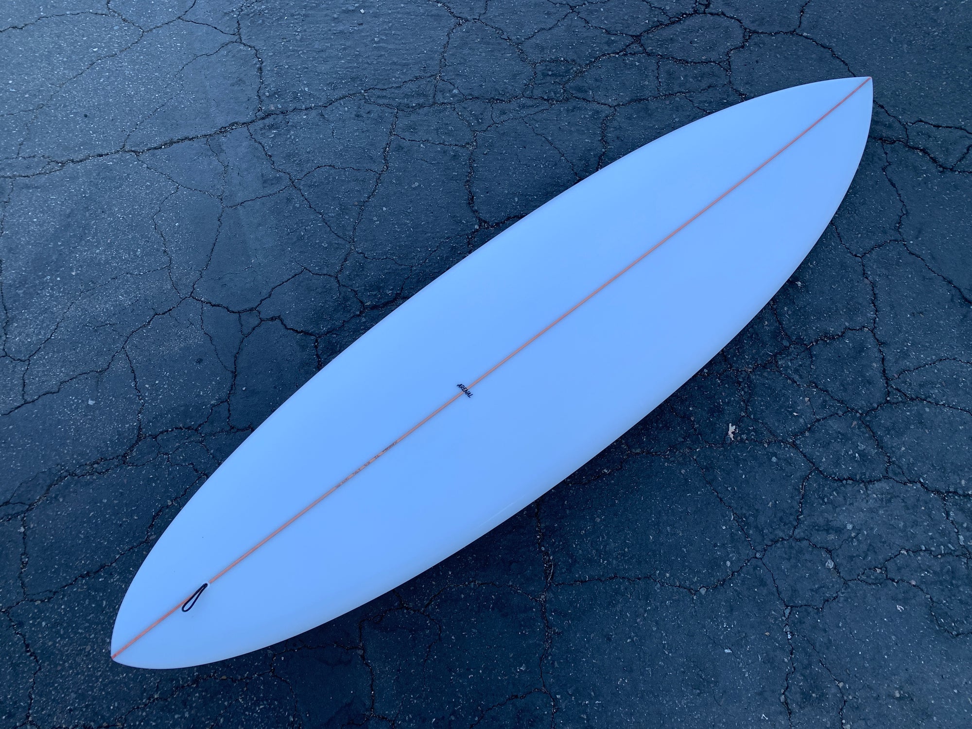7'3" Arenal Sighthound