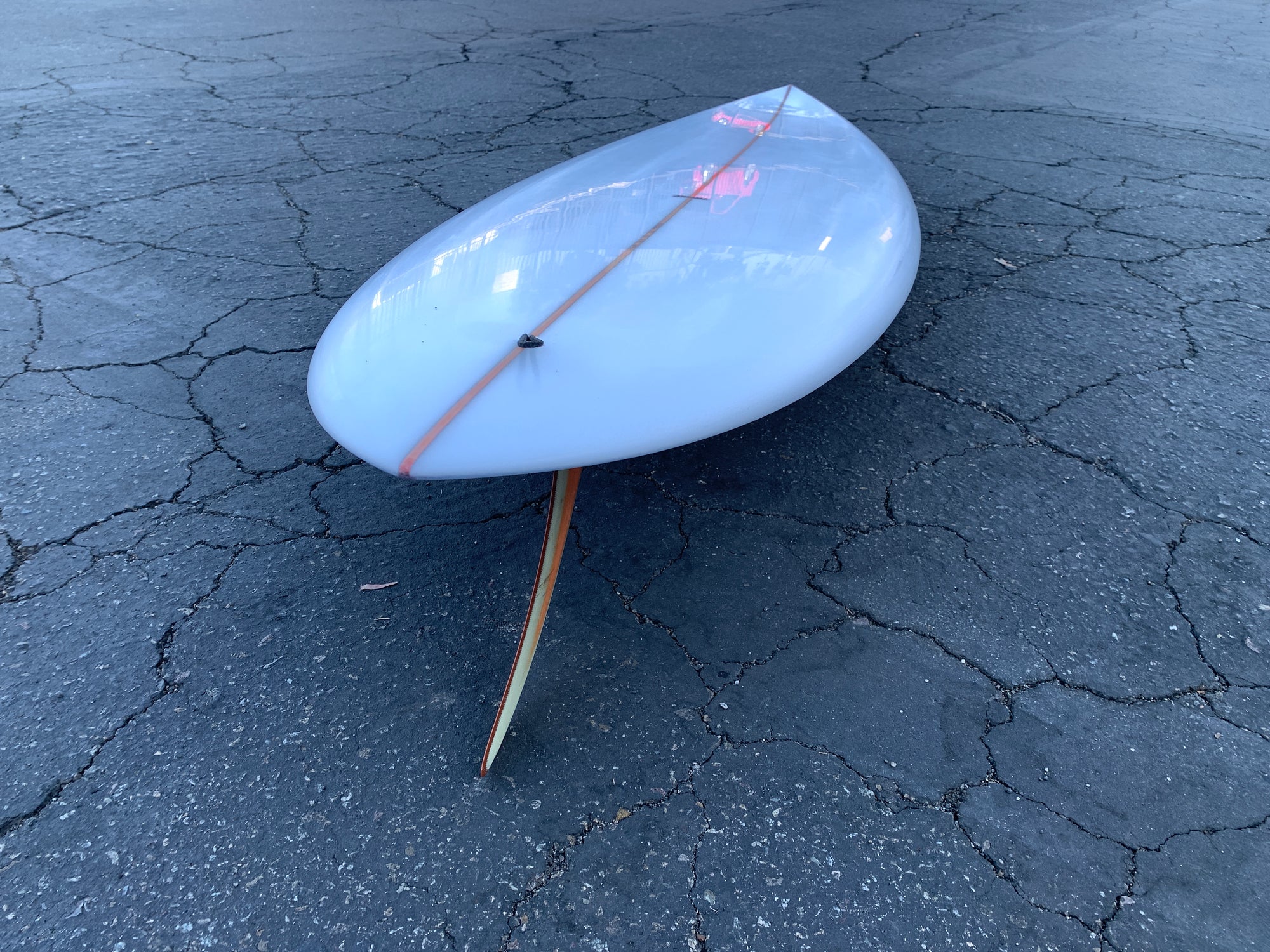 7'3" Arenal Sighthound