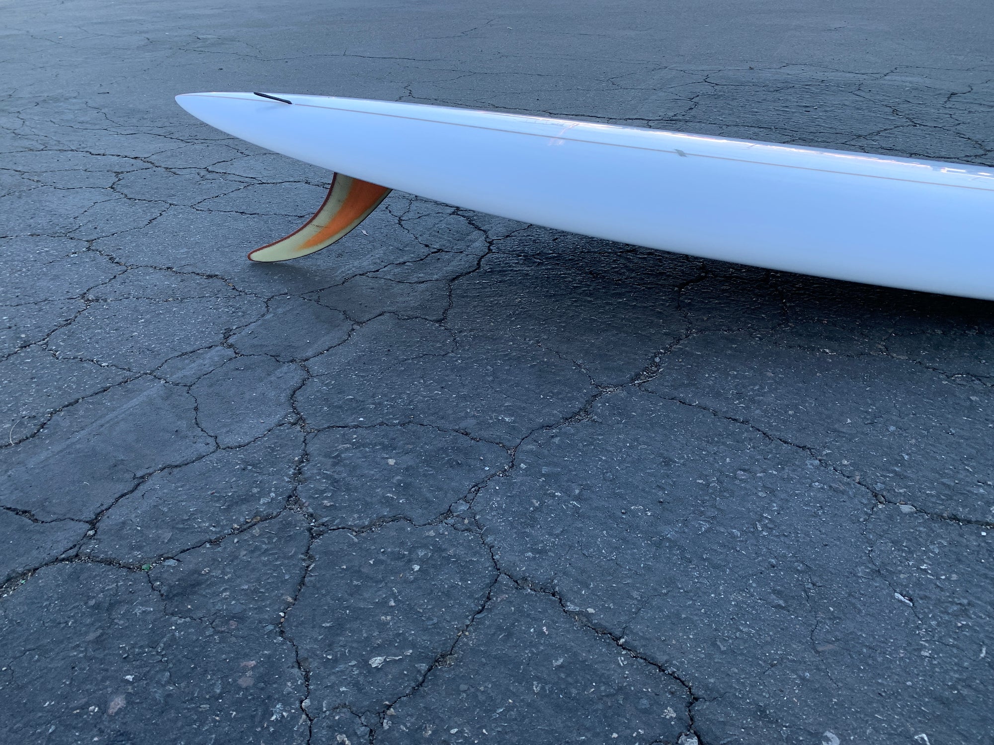 7'3" Arenal Sighthound