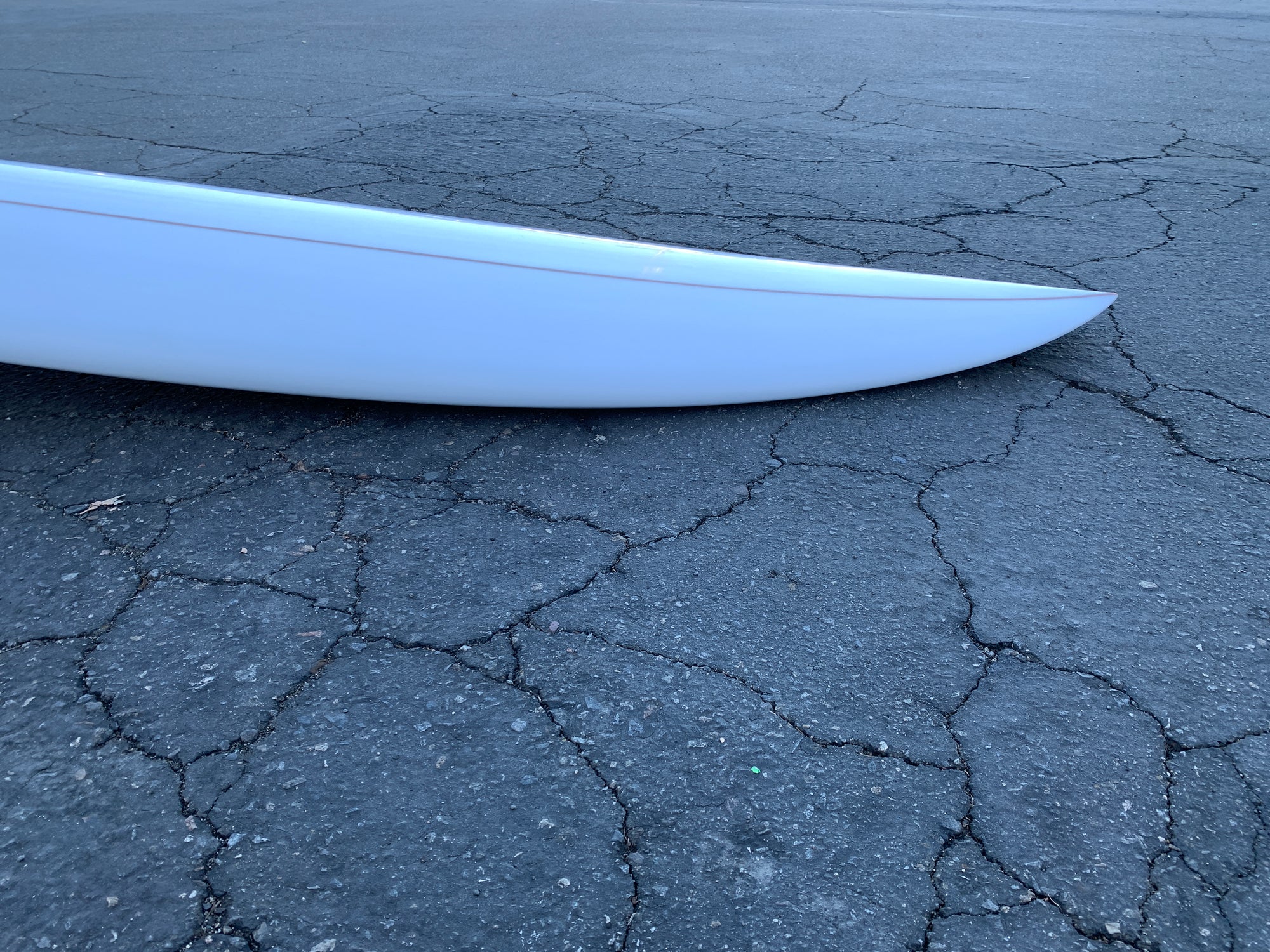 7'3" Arenal Sighthound
